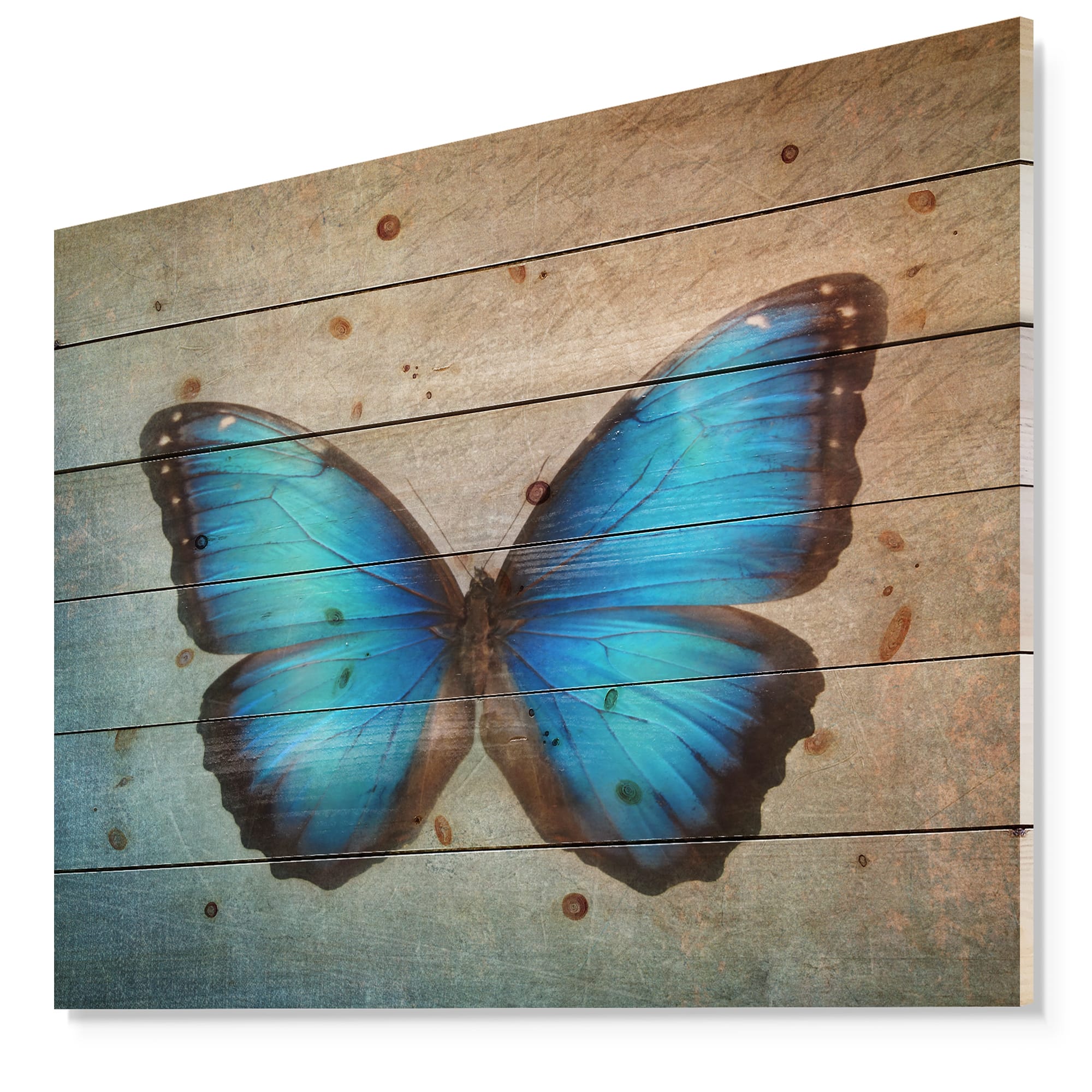 Designart - Blue Vintage Butterfly