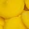 Melt Craft™ Vanilla Candy Wafers