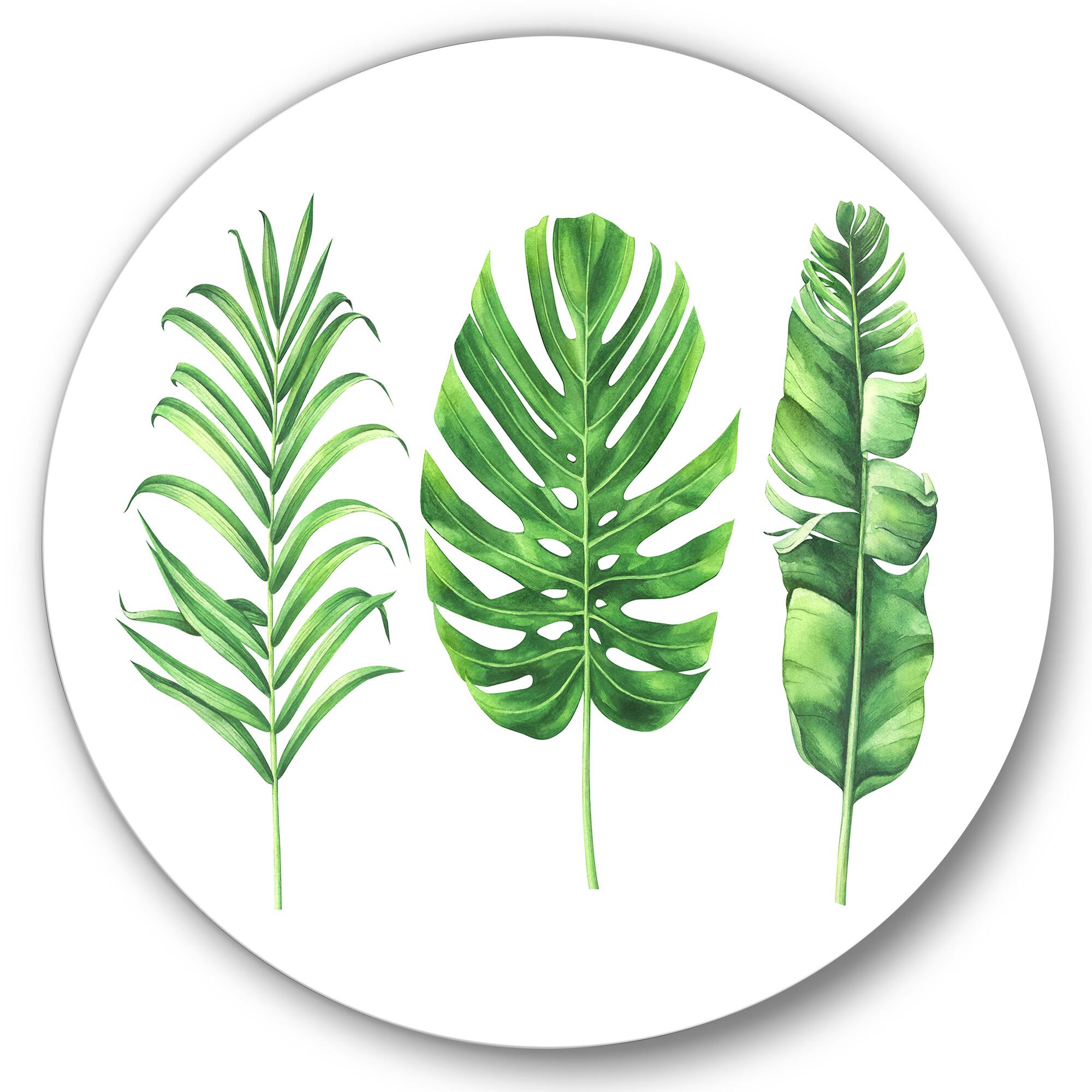 Designart - Tropical Leaf Of Monstera IV
