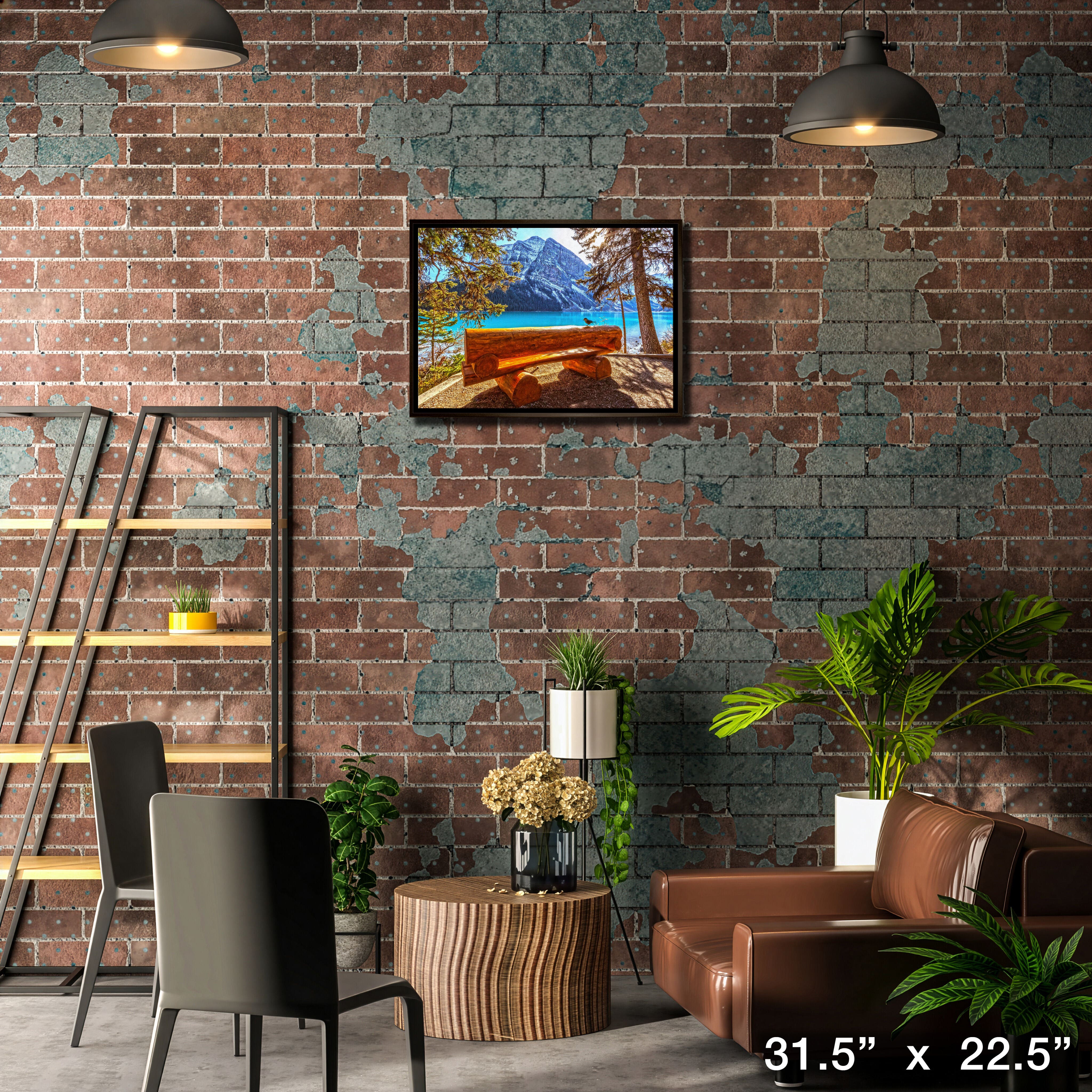 Banff National Park 20" x 29" Framed Canvas 31.5" x 22.5"