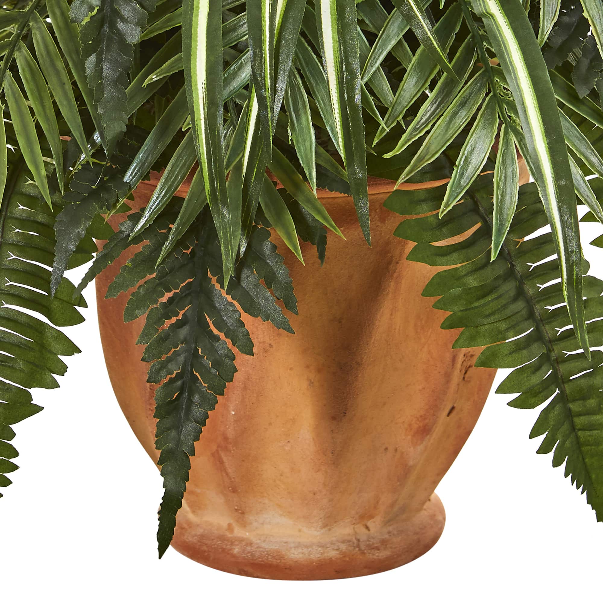 23" Mixed Leaf & Fern Plant in Terra Cotta Planter