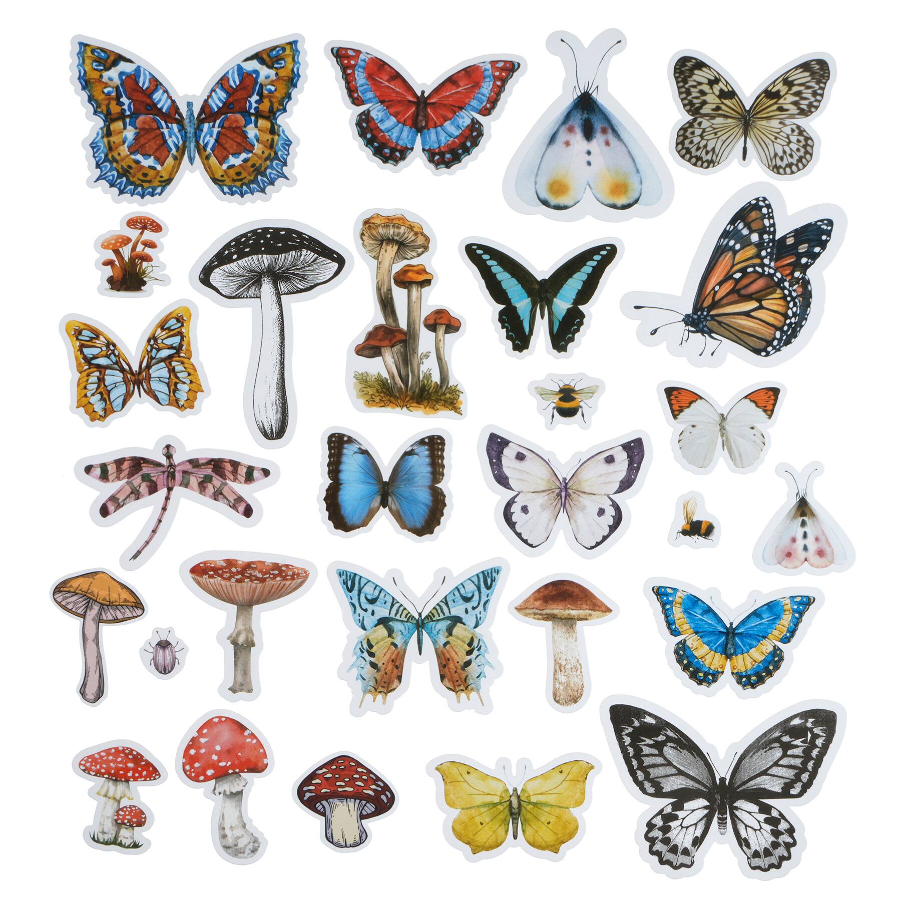 12 Pack: Nature Ephemera by Recollections™