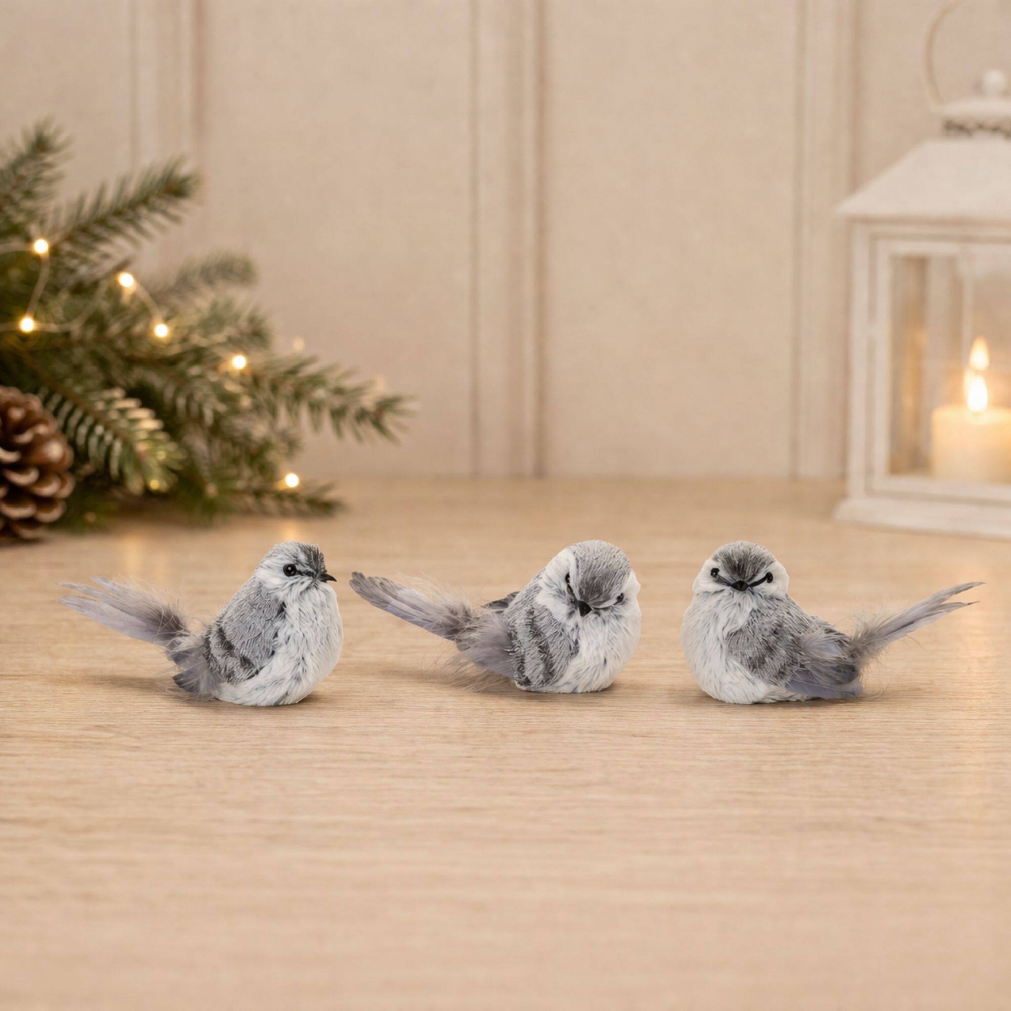 Feathered Bird Shelf Sitter Set