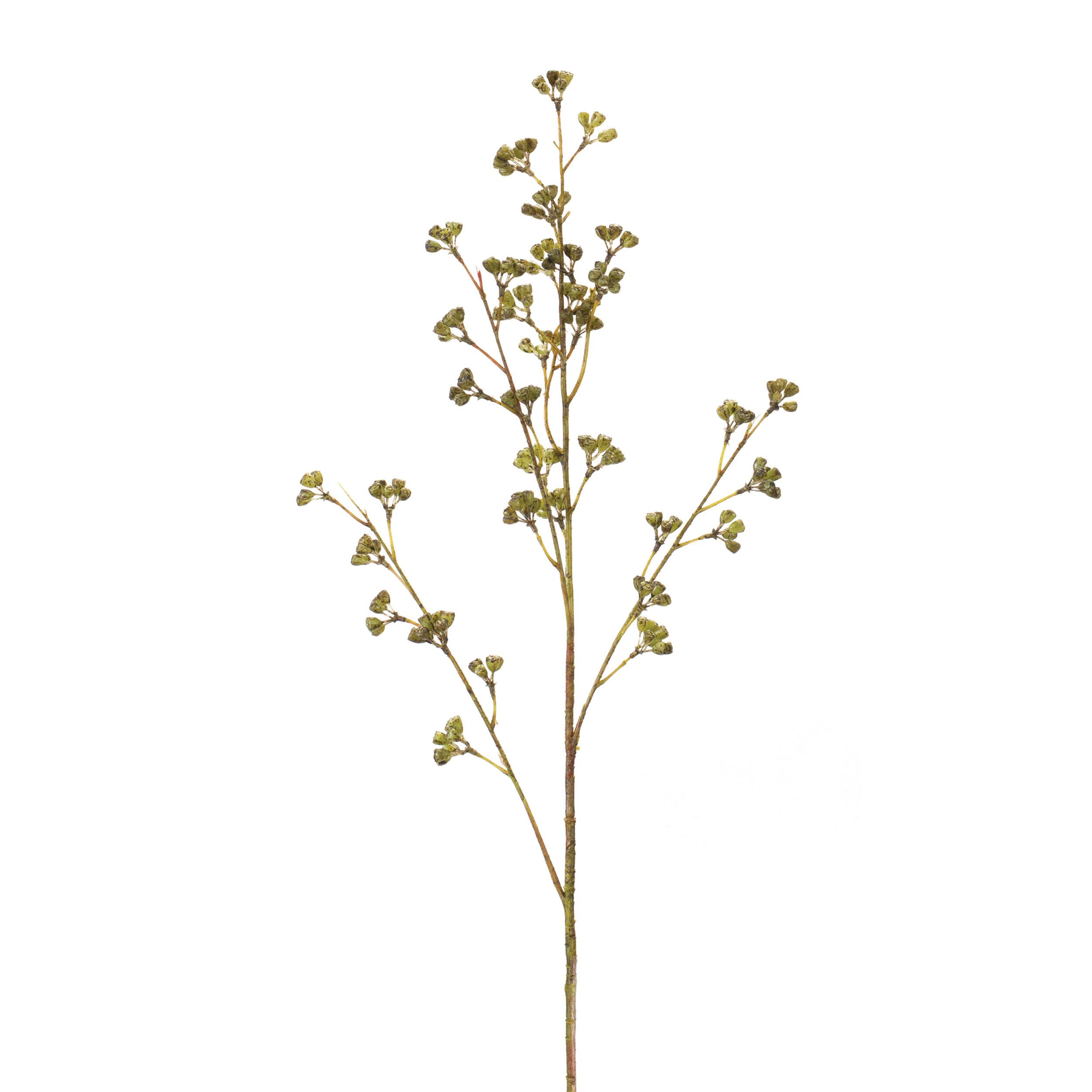 31" Green Winter Berry Pod Sprays, 6ct.