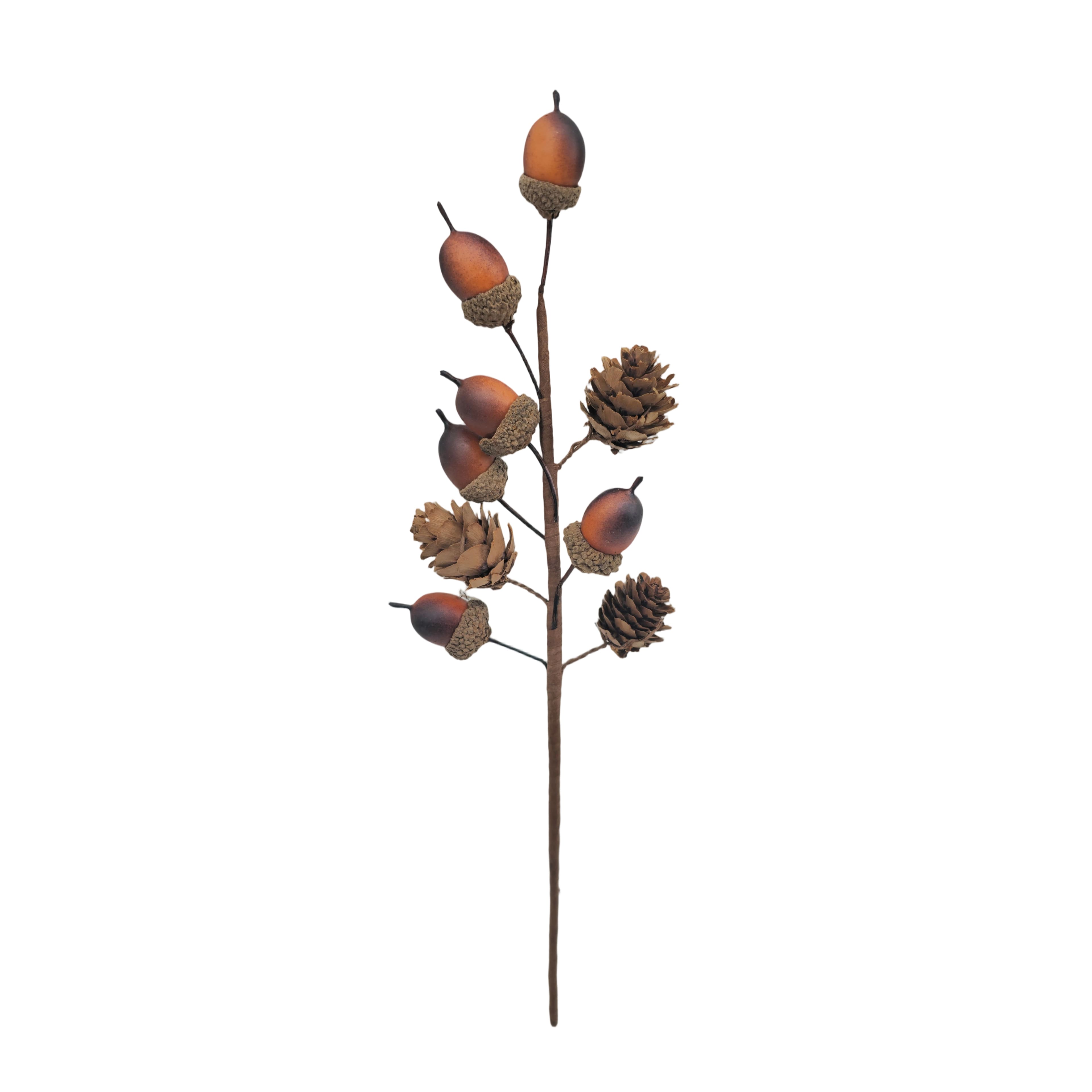 12" Acorn Pick by Ashland®