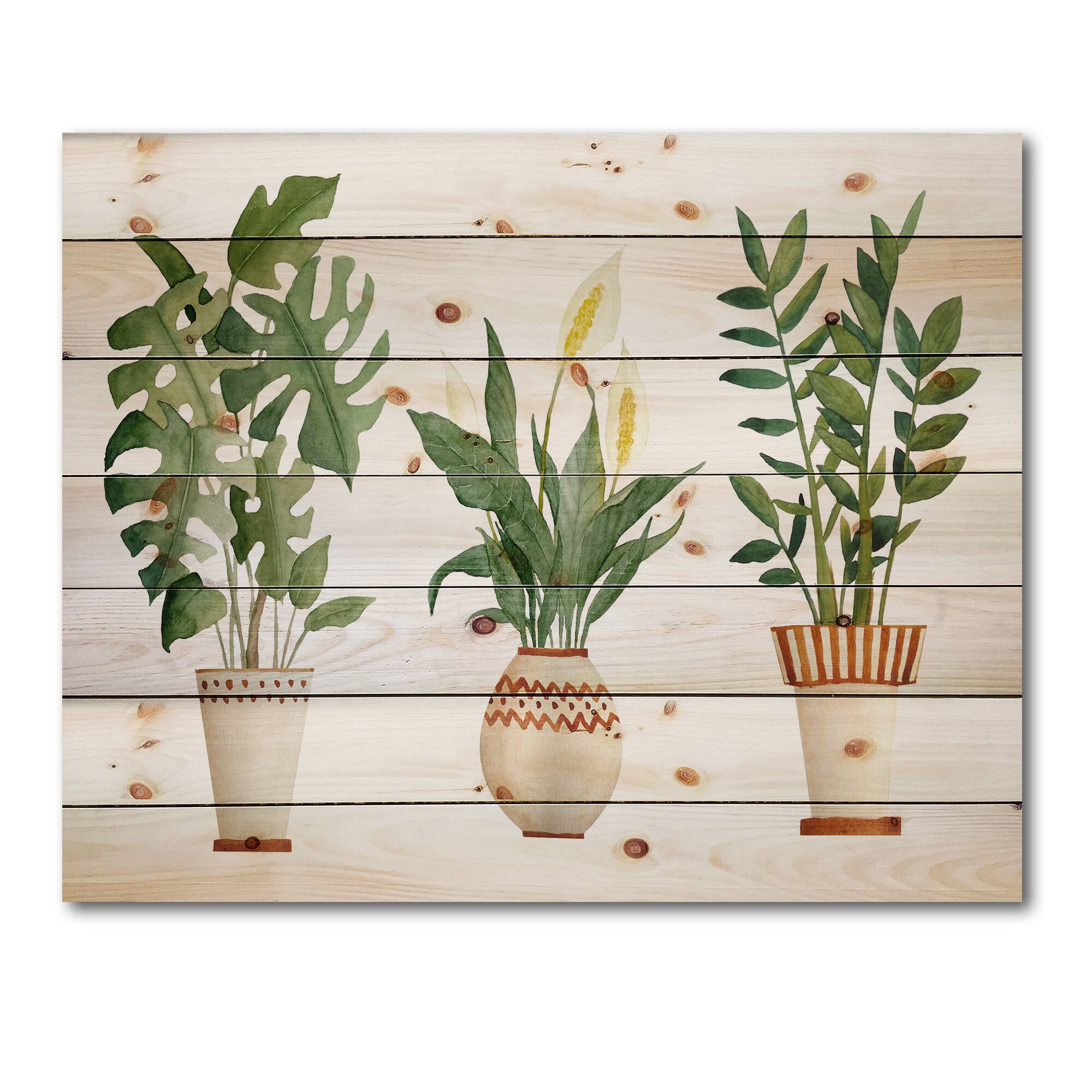 Designart - Houseplant Monstera & Peace Lily In Terra Cotta - Farmhouse Print on Natural Pine Wood
