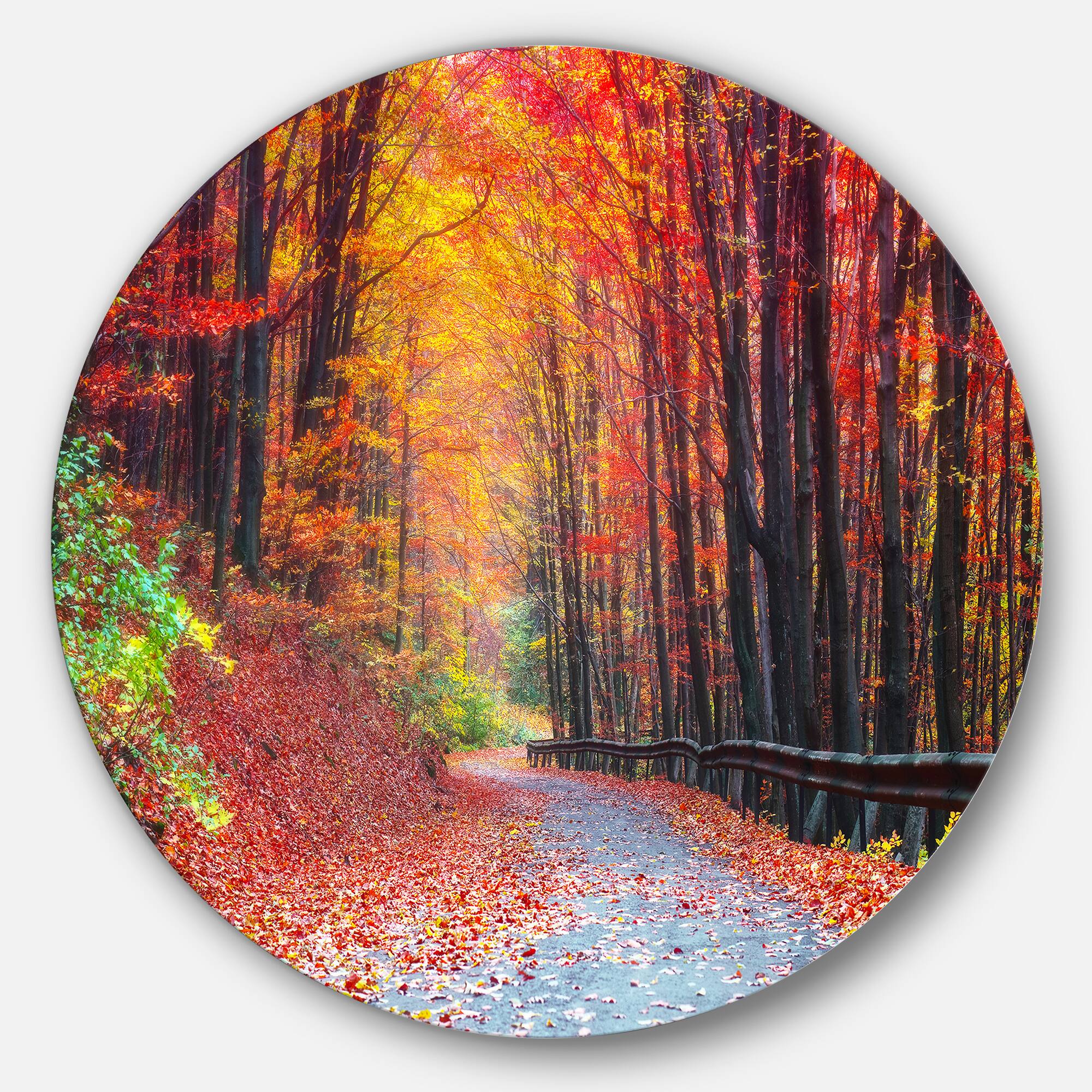 Designart - Road in Beautiful Autumn Forest' Disc Forest Large Metal Circle Wall Art