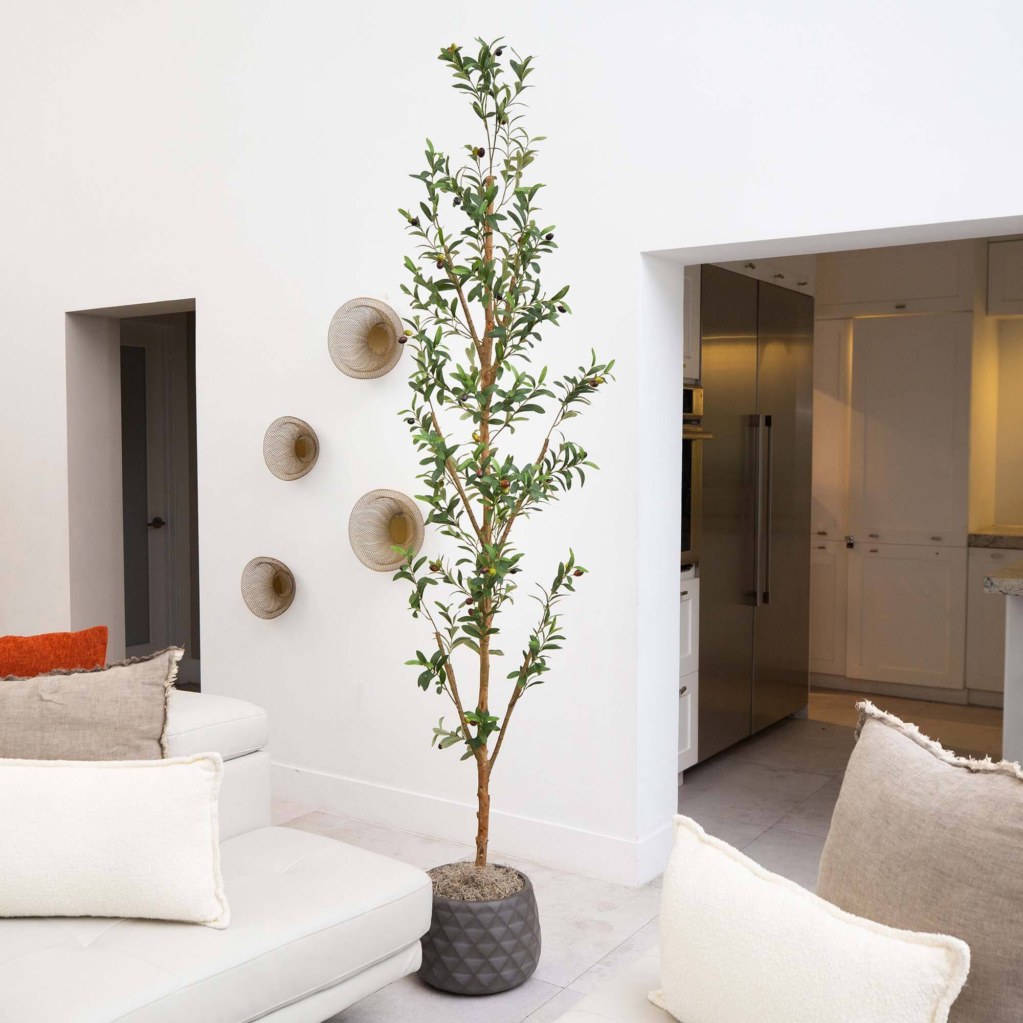 8ft. Potted Artificial Olive Tree with Natural Trunk