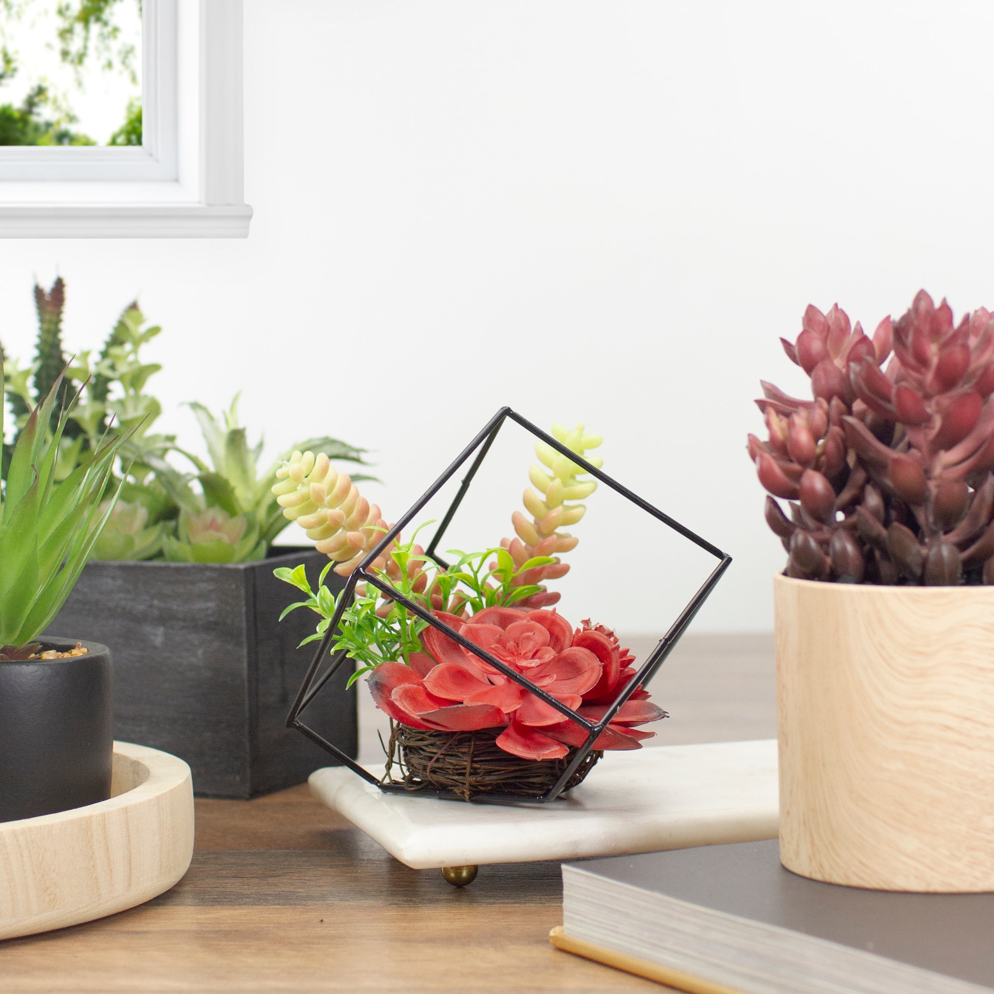 5.5" Succulent Arrangement in Black Metal Wire Frame