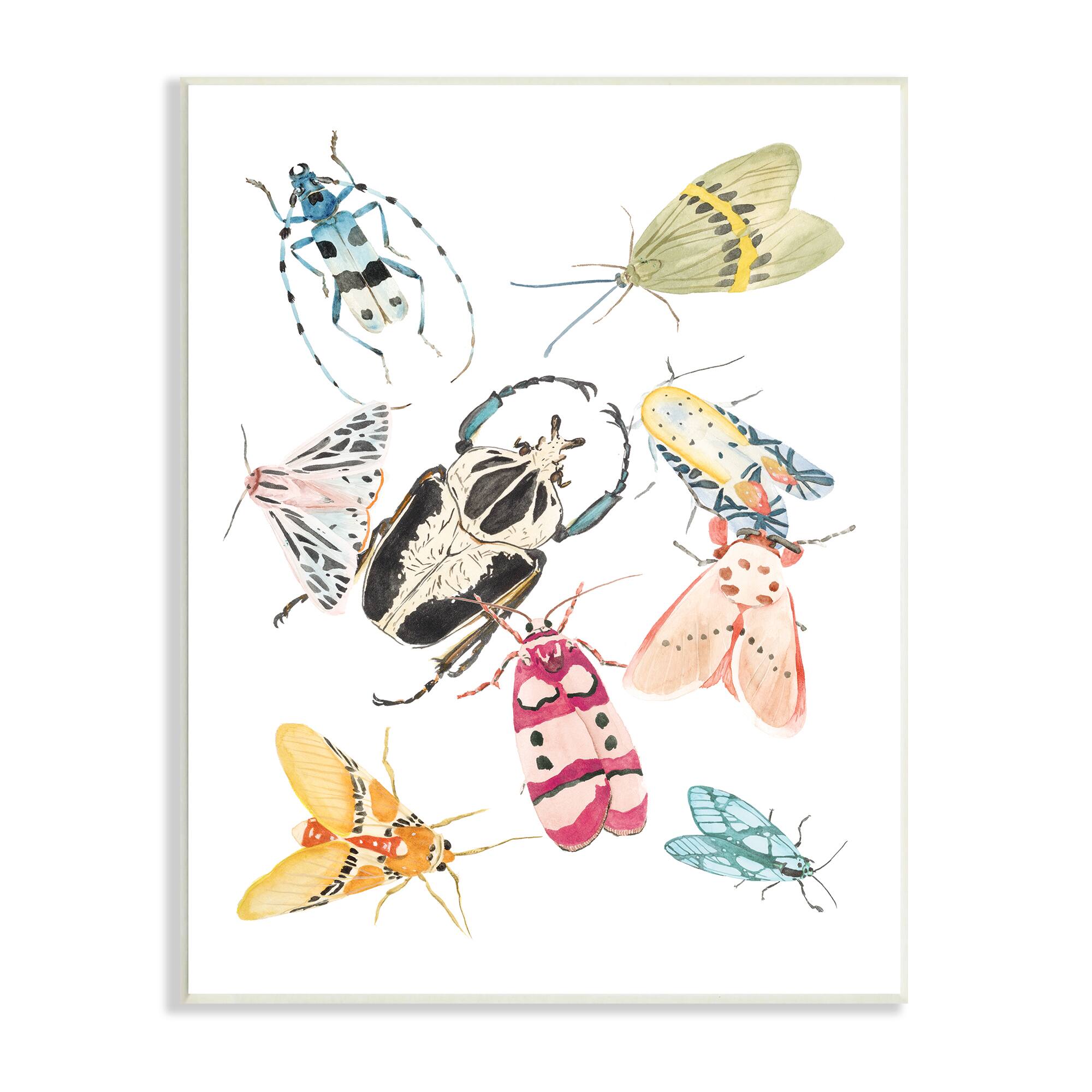 Stupell Industries Garden Insect Arrangement Charming Winged Creatures Wall Plaque