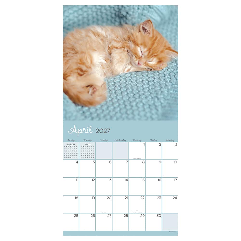 2027 Cat Dreams Wall Calendar