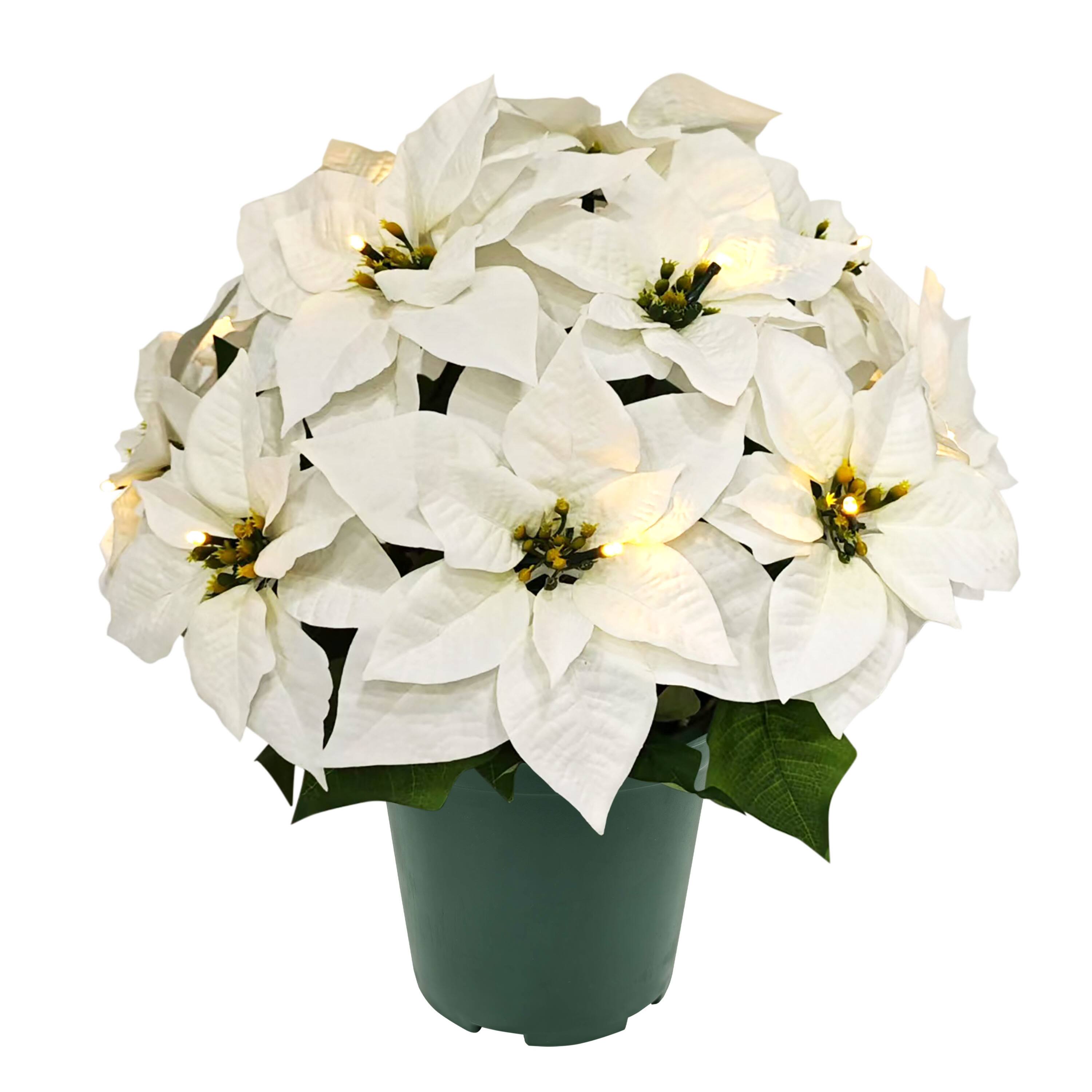 19" Pre-Lit Battery-Operated Artificial Potted Poinsettias