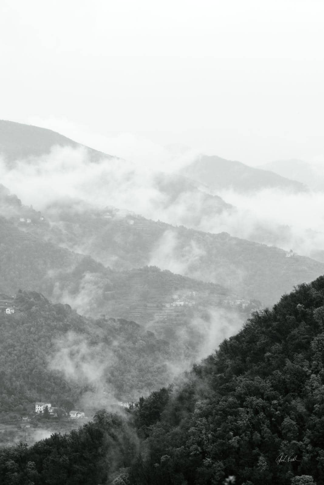 Morning Mist II