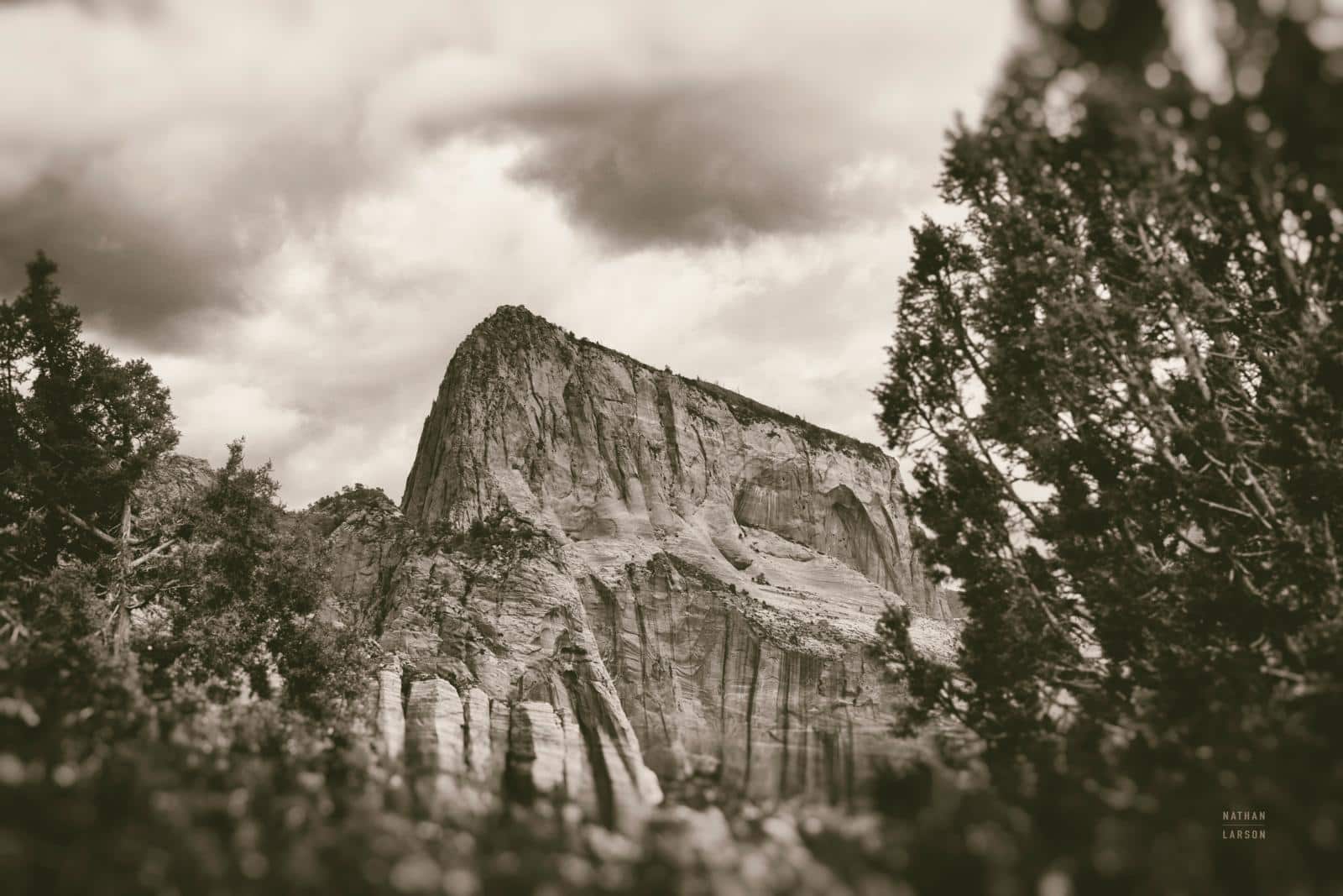 To Zion
