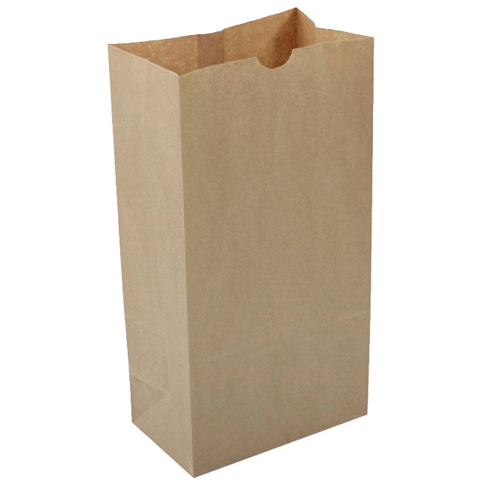 JAM Paper Brown Kraft Lunch Bags, 500ct.