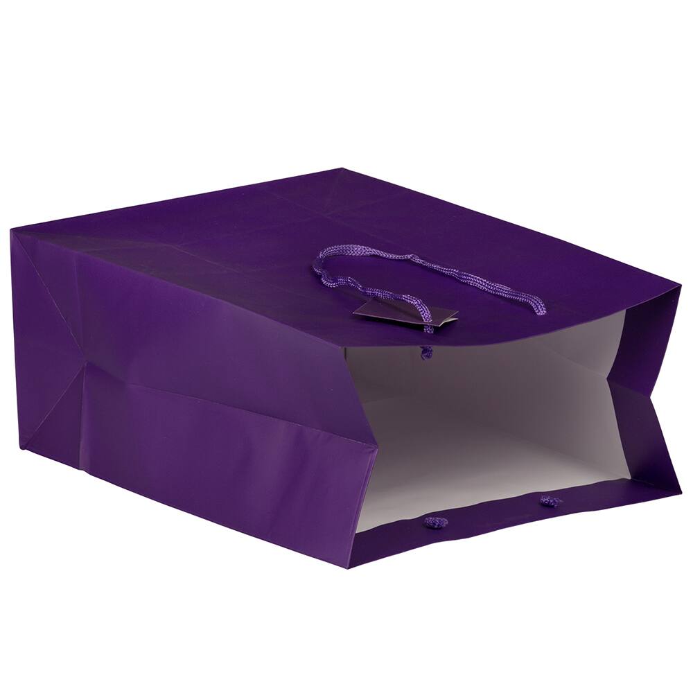 JAM Paper Large Matte Gift Bags