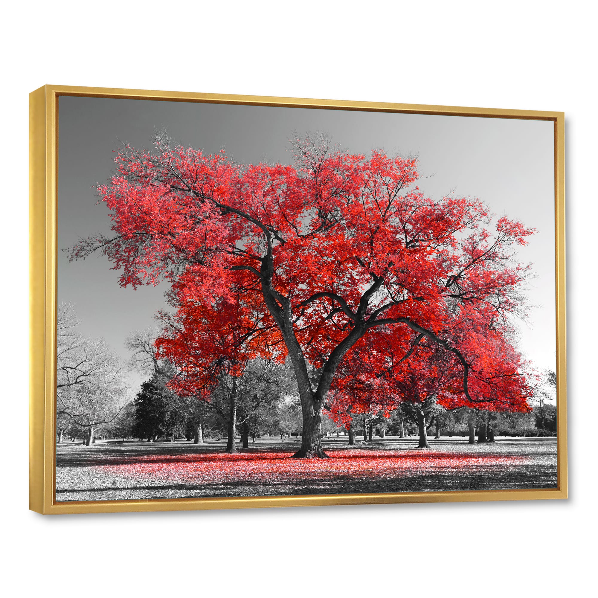 Designart - Big Red Tree on Foggy Day - Landscape Framed Canvas Art Print