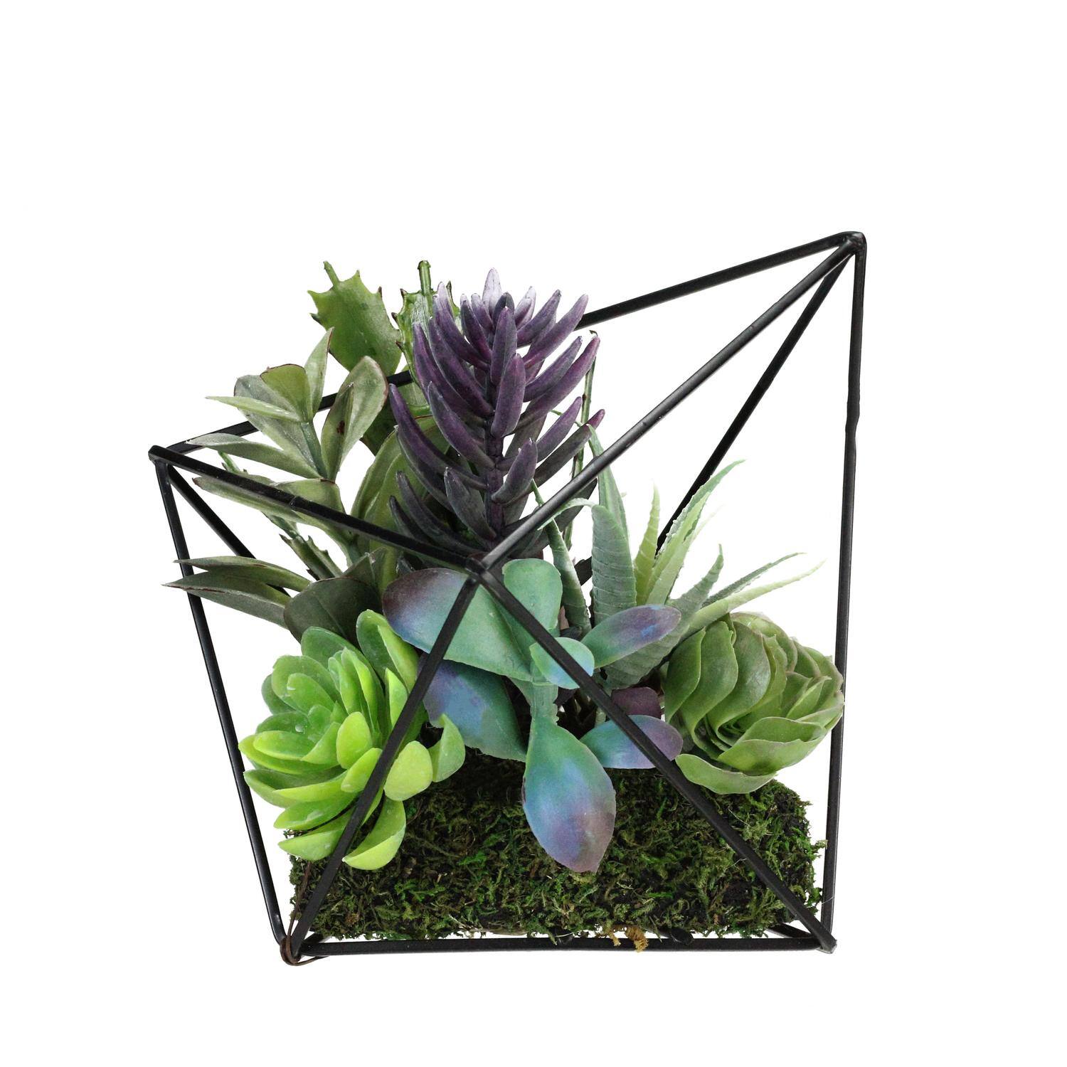 6.75" Green Artificial Succulent Arrangement in Diamond Metal Frame