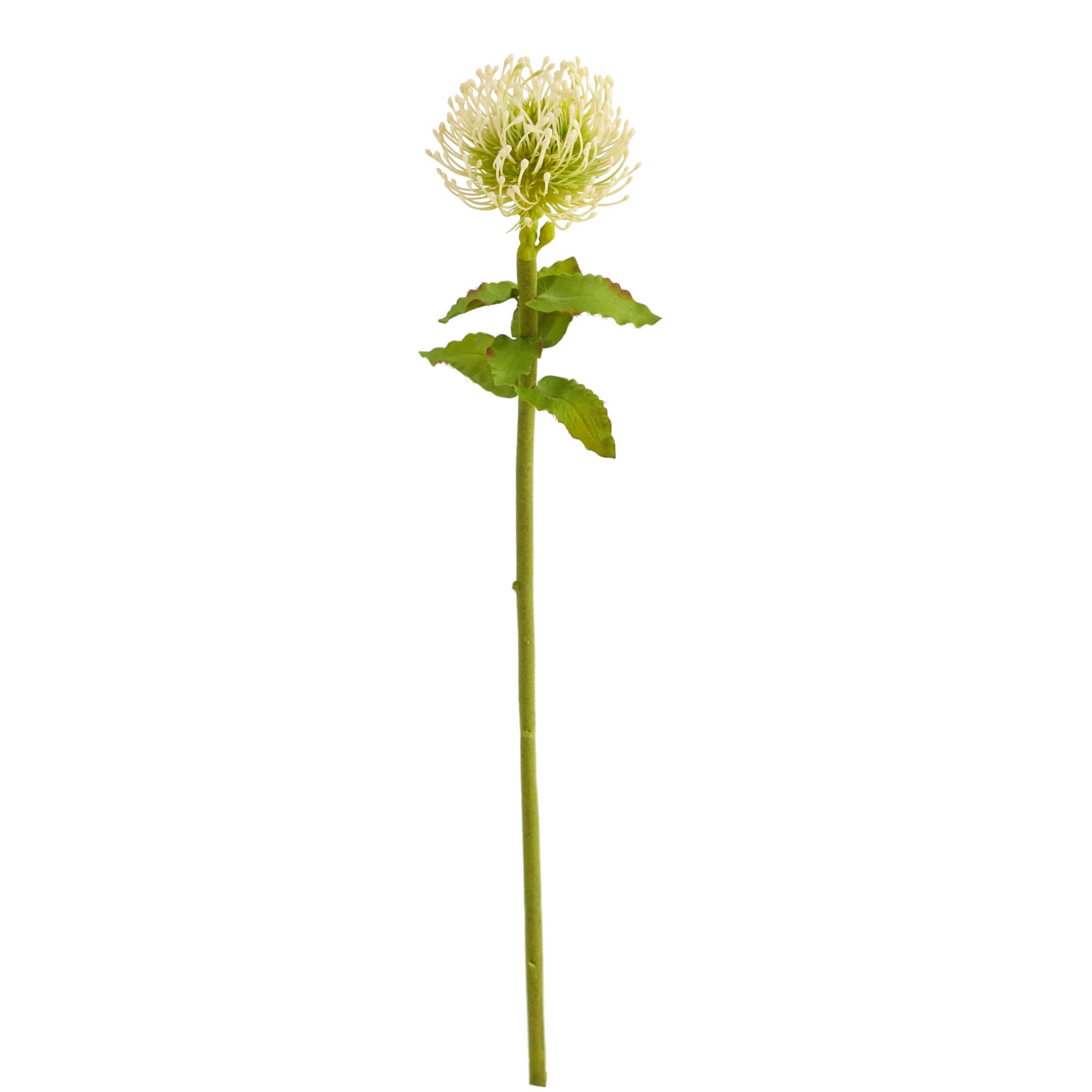 Pincushion Artificial Flower Stem, 6ct.