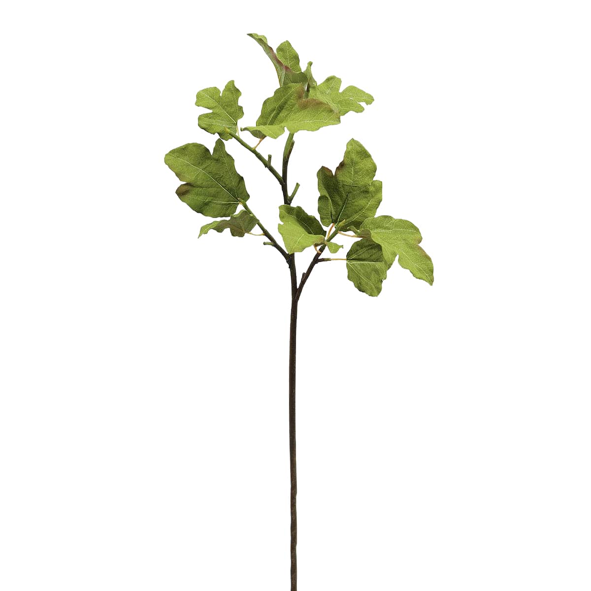 Prestige Botanicals 39" Artificial Fig Leaf Branch Stem