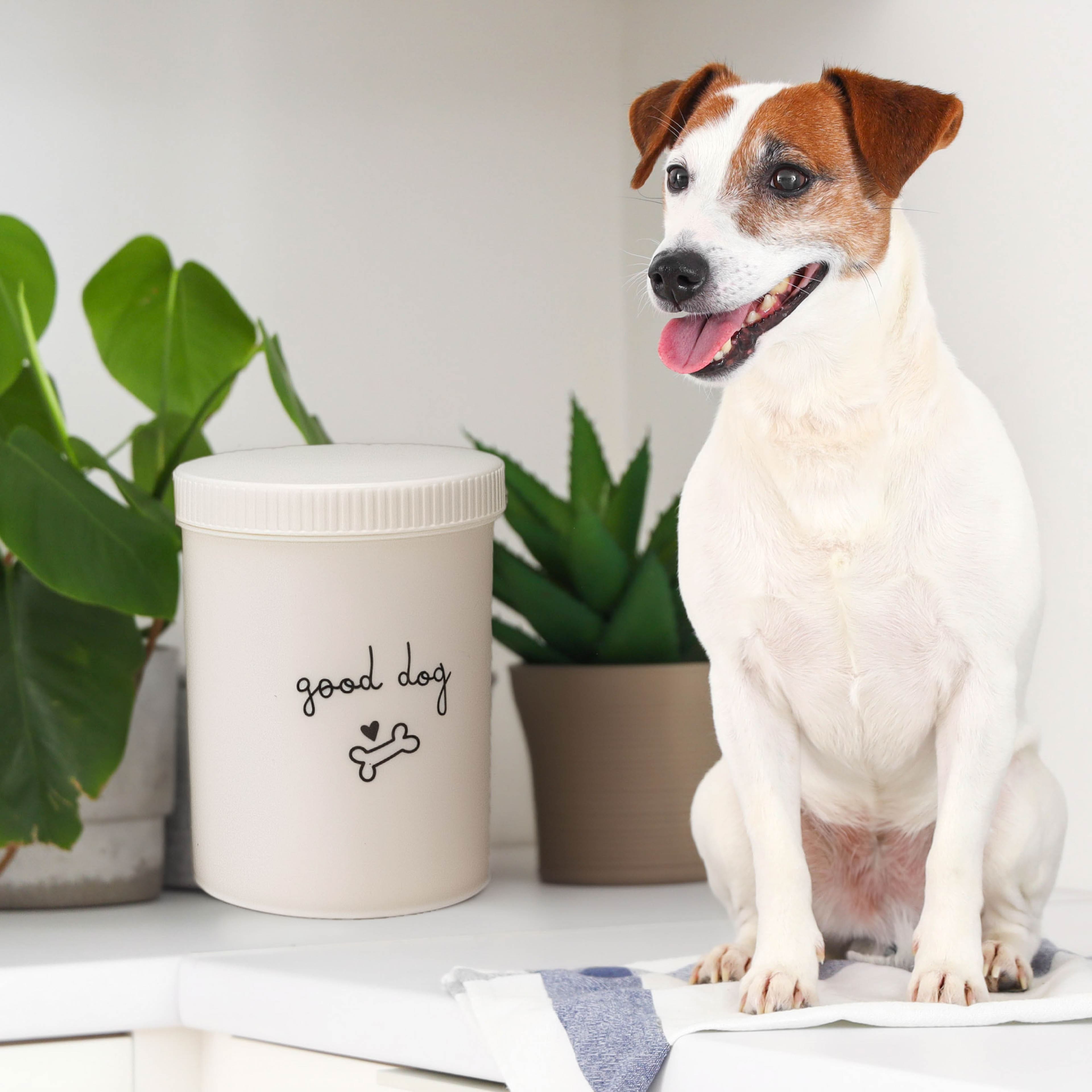 7" Good Dog Treat Jar