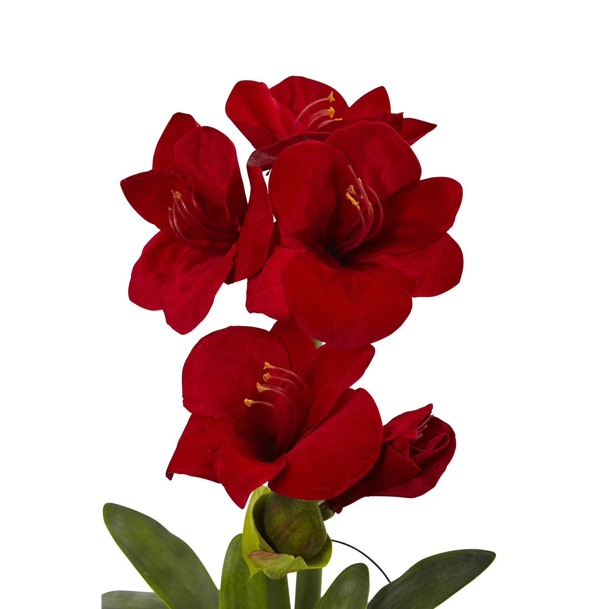 24" Red Amaryllis in Glass Vase