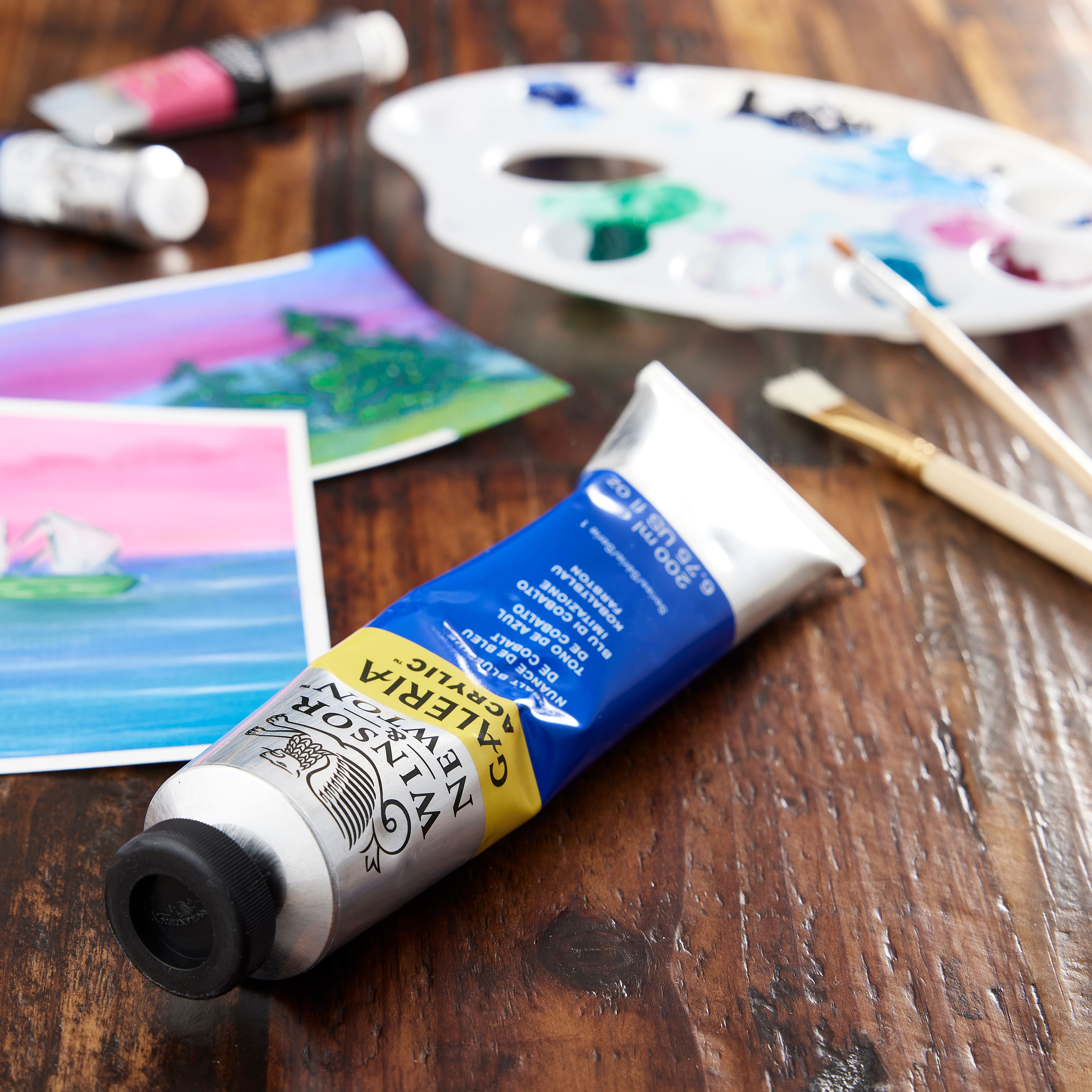 12 Pack: Winsor & Newton™ Galeria Acrylic™ Paint, 200mL