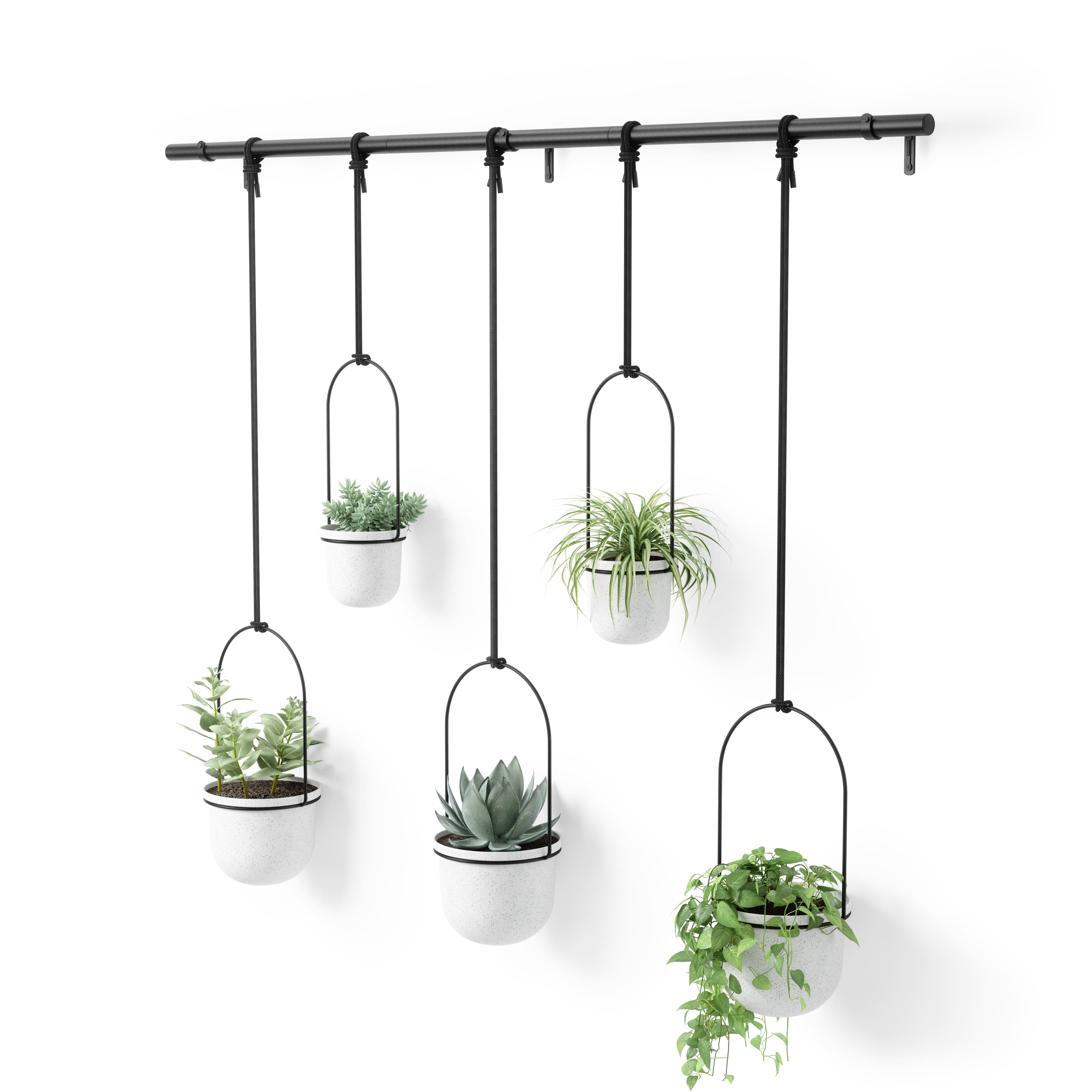 Umbra White & Black Triflora Hanging Planter Set