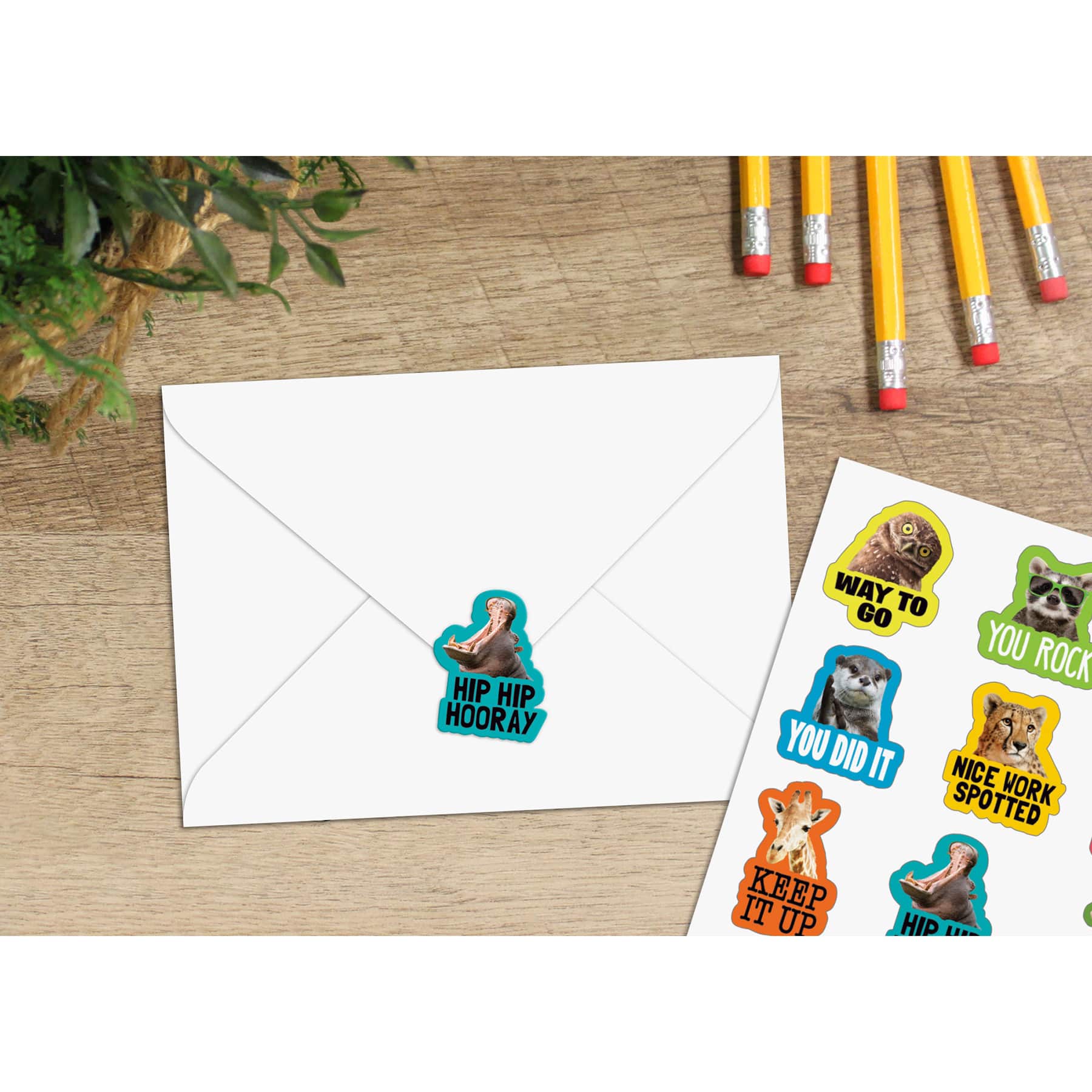 Teacher Created Resources® Go Wild Animals Stickers, 72 Per Pack, 12 Packs total of 854