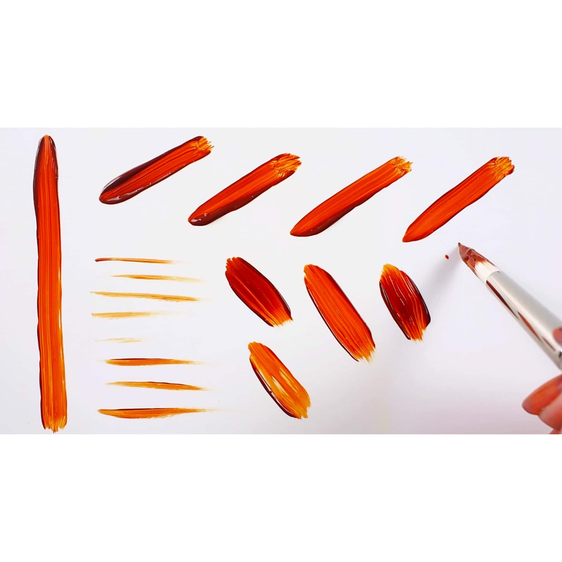 Silver Brush Limited Bristlon Short Handle Round Brushes Set