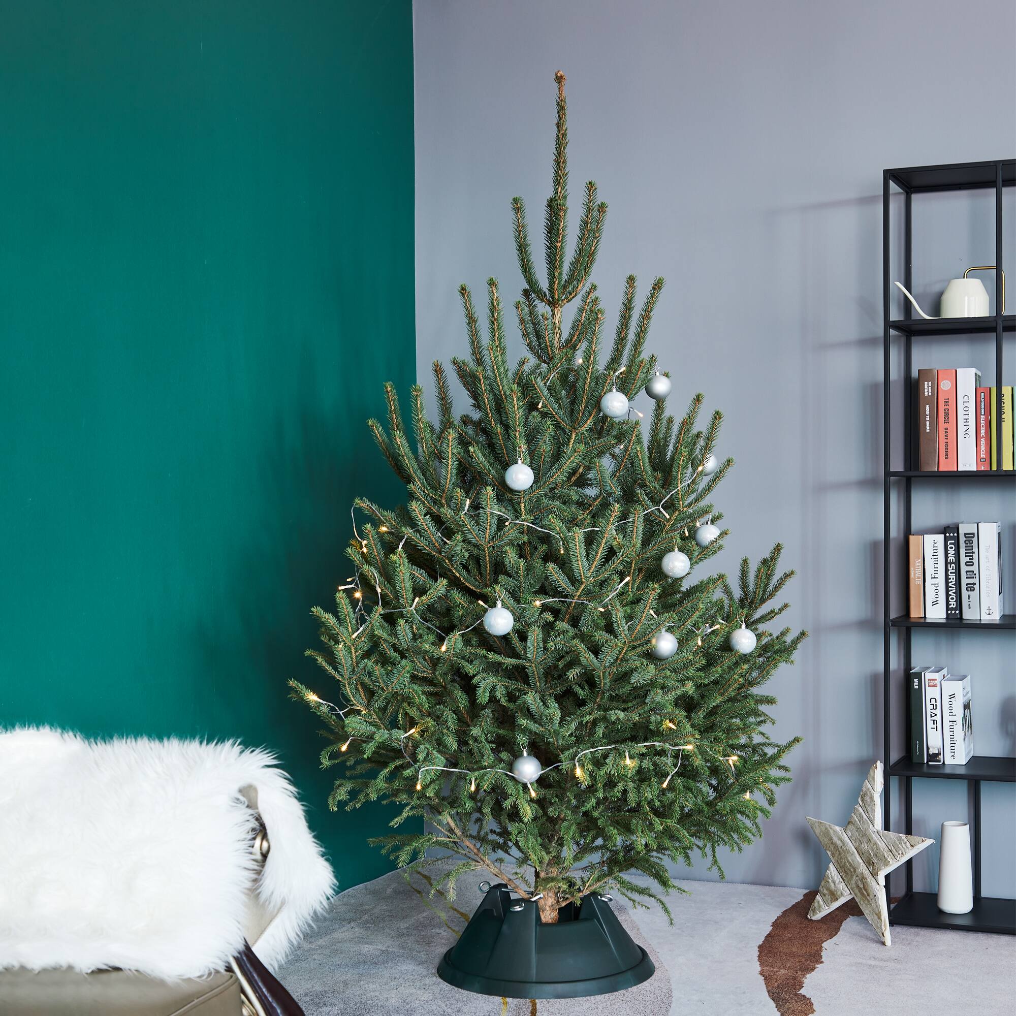 Green Live Christmas Tree Stand