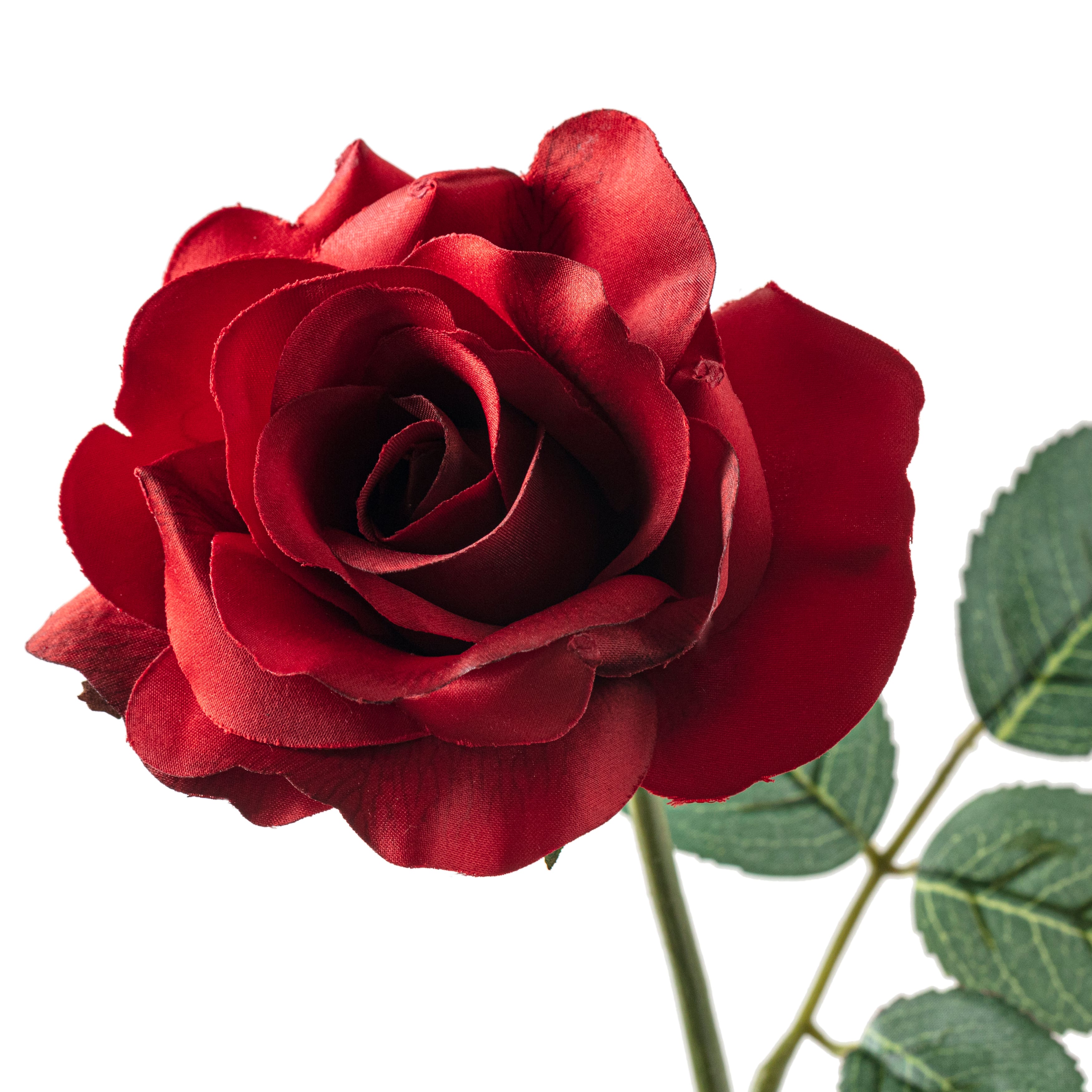 12 Pack: Dark Red Princess Rose by Ashland®