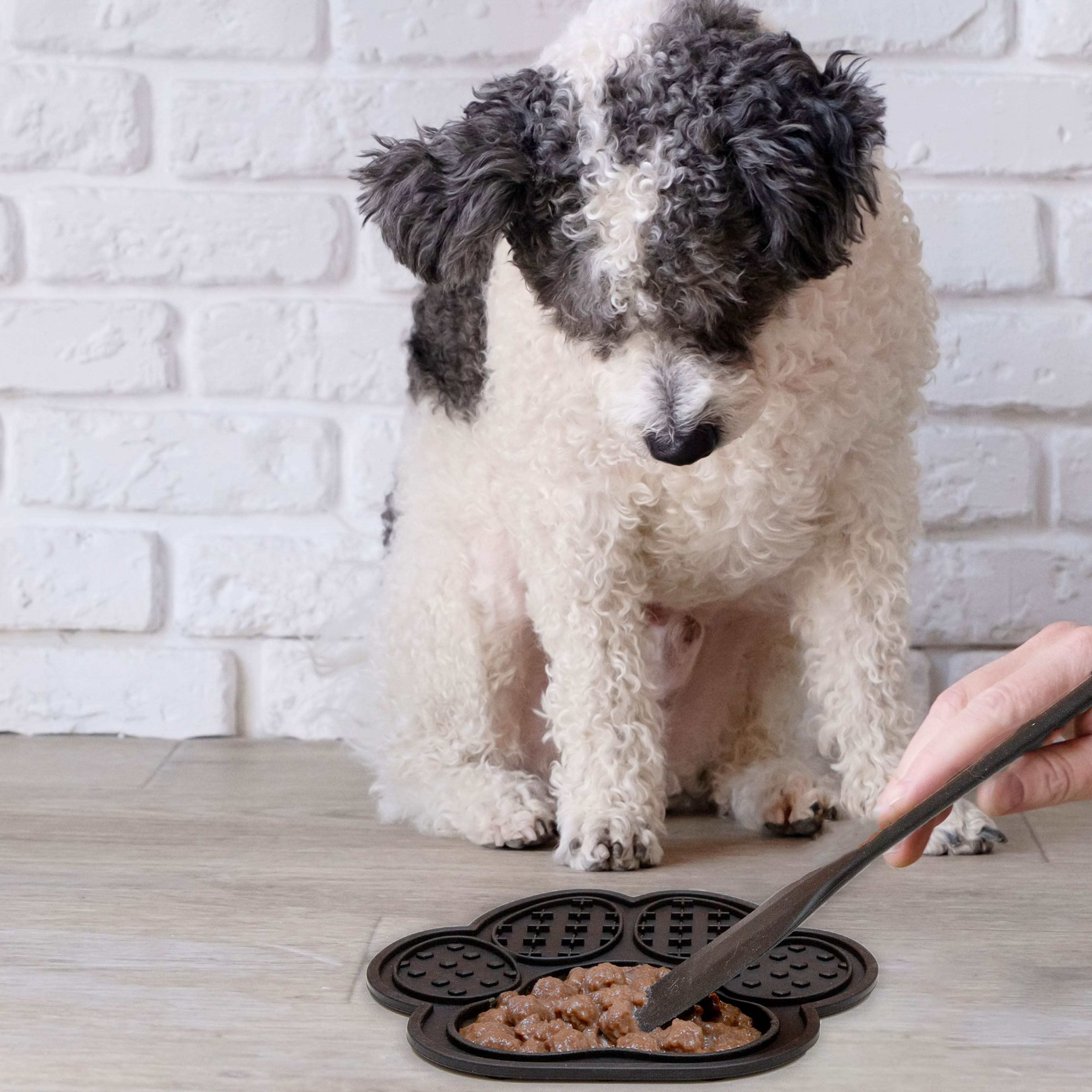 10.5" Black Paw-Shaped Lick Mat & Spatula Set