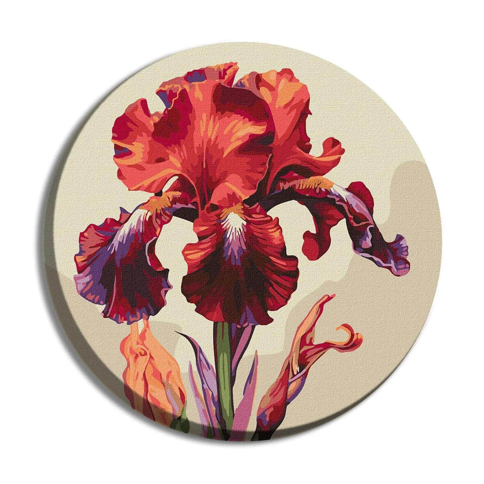 Ideyka Magic Iris Painting by Numbers Kit