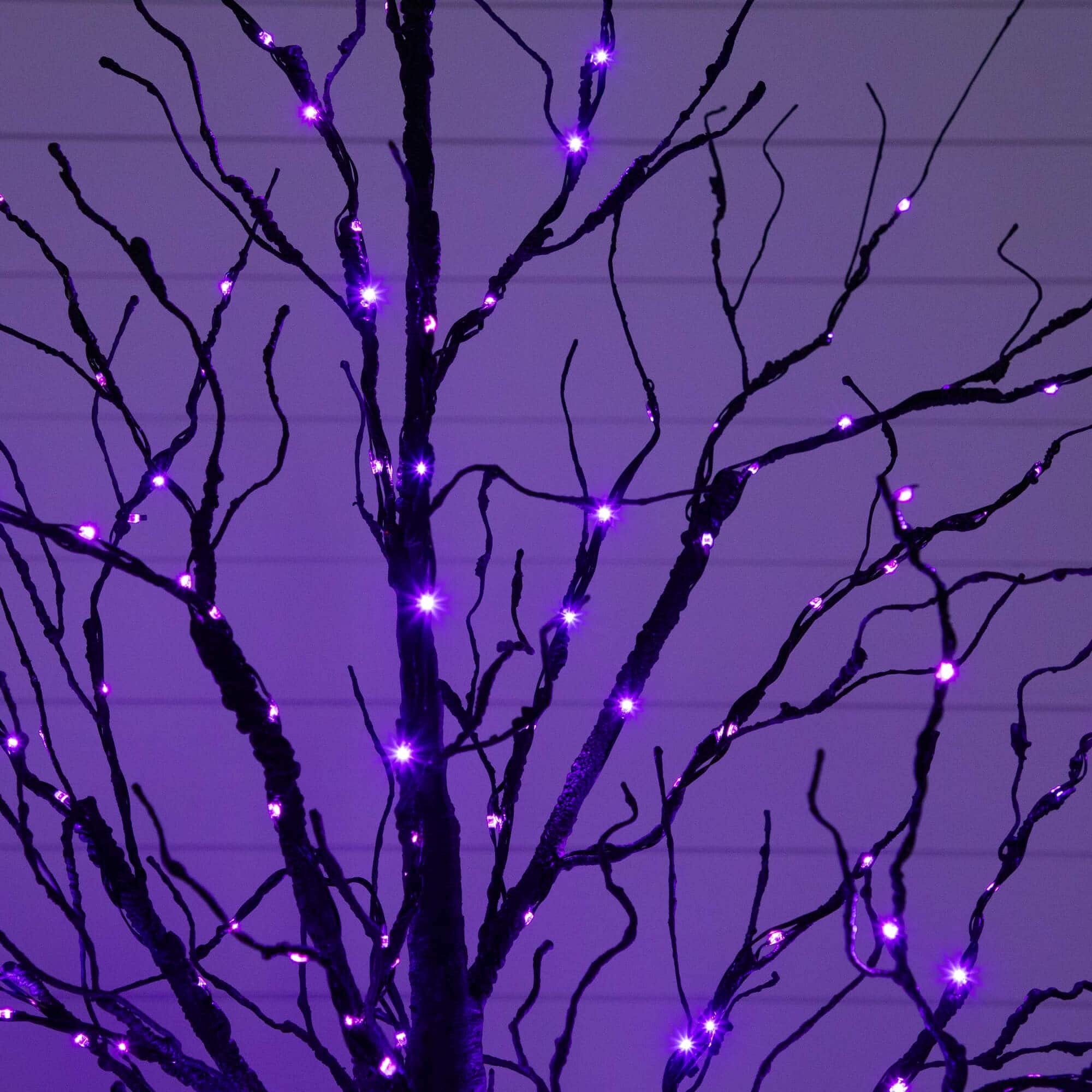 5ft. Pre-Lit Halloween Black Twig Artificial Tree with 240 Orange & Purple LED Lights