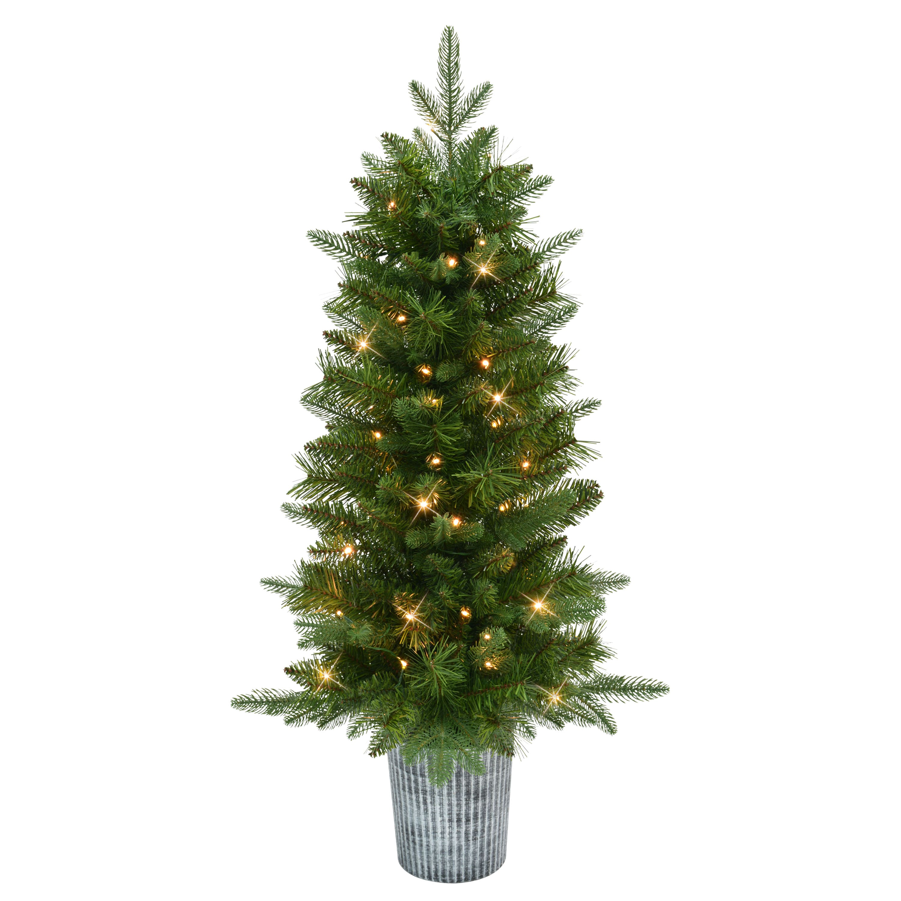 3.5ft. Pre-Lit Battery Operated Oregon Fir Potted Artificial Christmas Trees, 2ct.