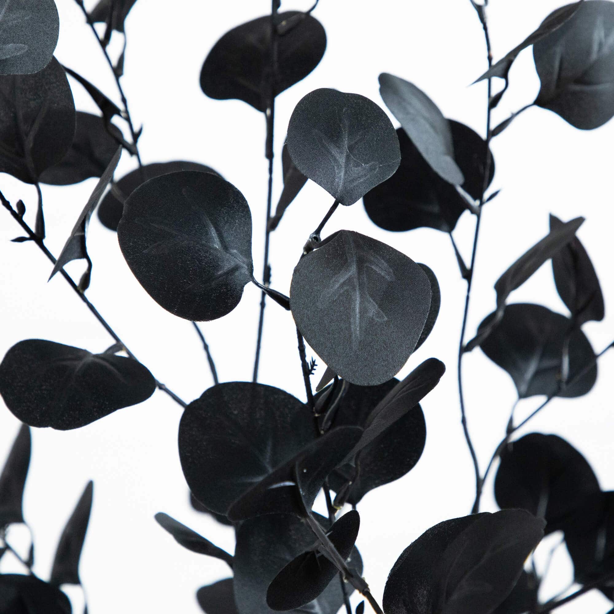 6ft. Artificial Halloween Black Eucalyptus Tree