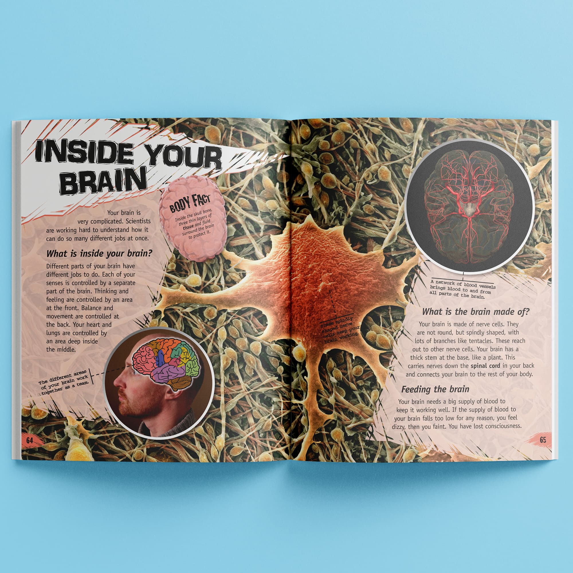 Incredible But True: The Human Body