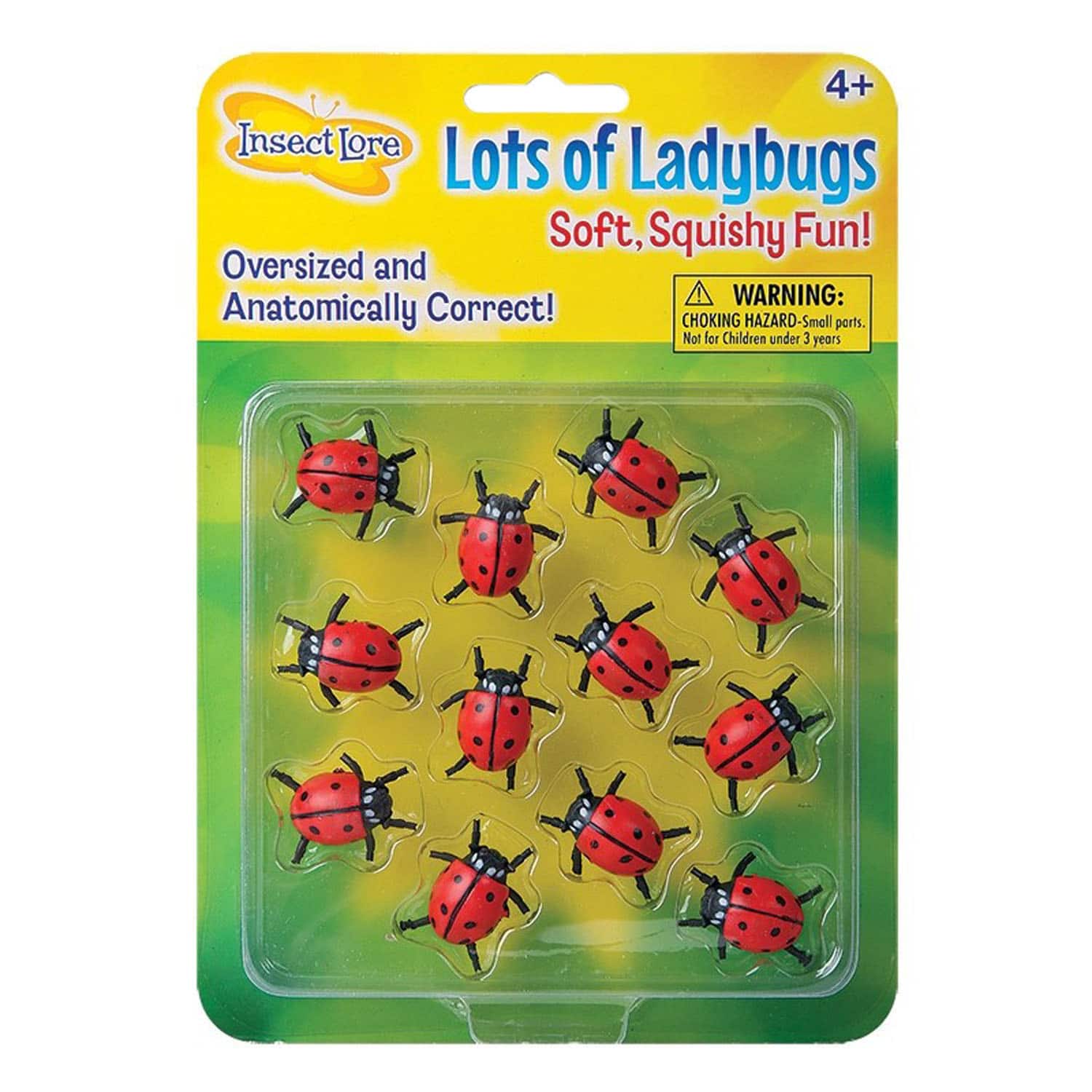 Insect Lore Lots Of Ladybugs, 3 Packs of 12