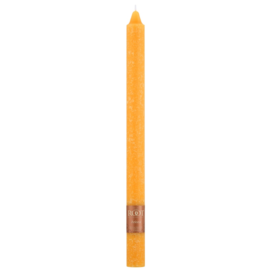 Root Candles 12" Unscented Timberline™ Arista™ Taper Candles