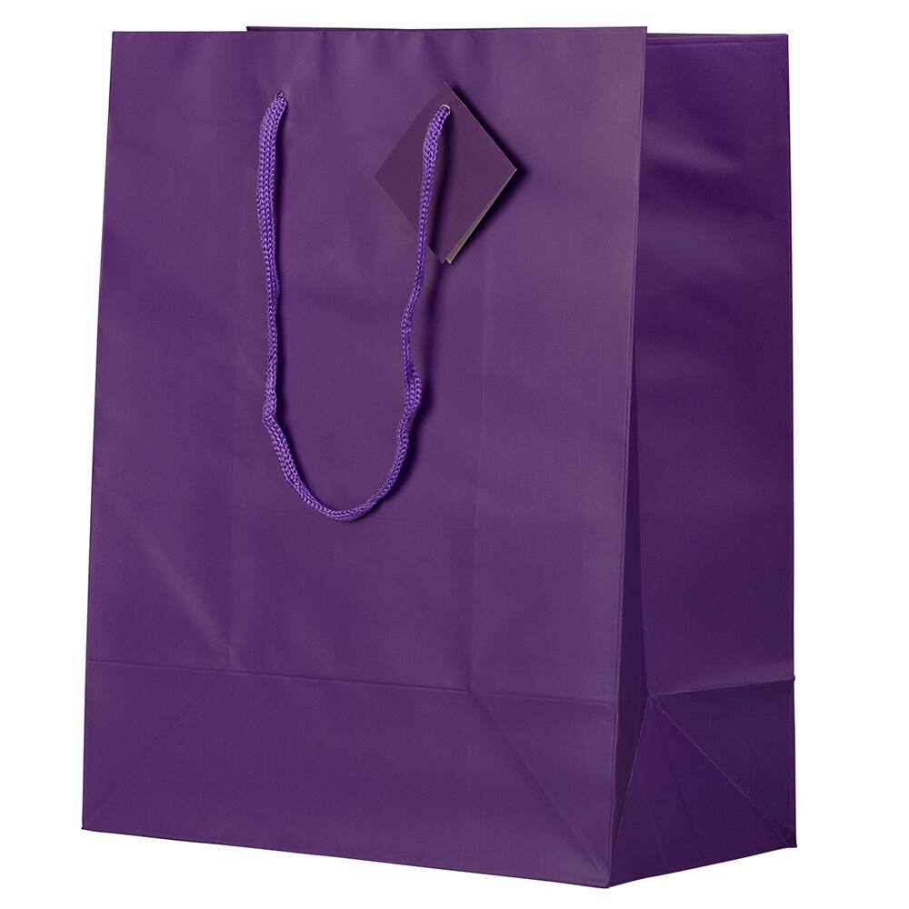 JAM Paper Large Matte Gift Bags
