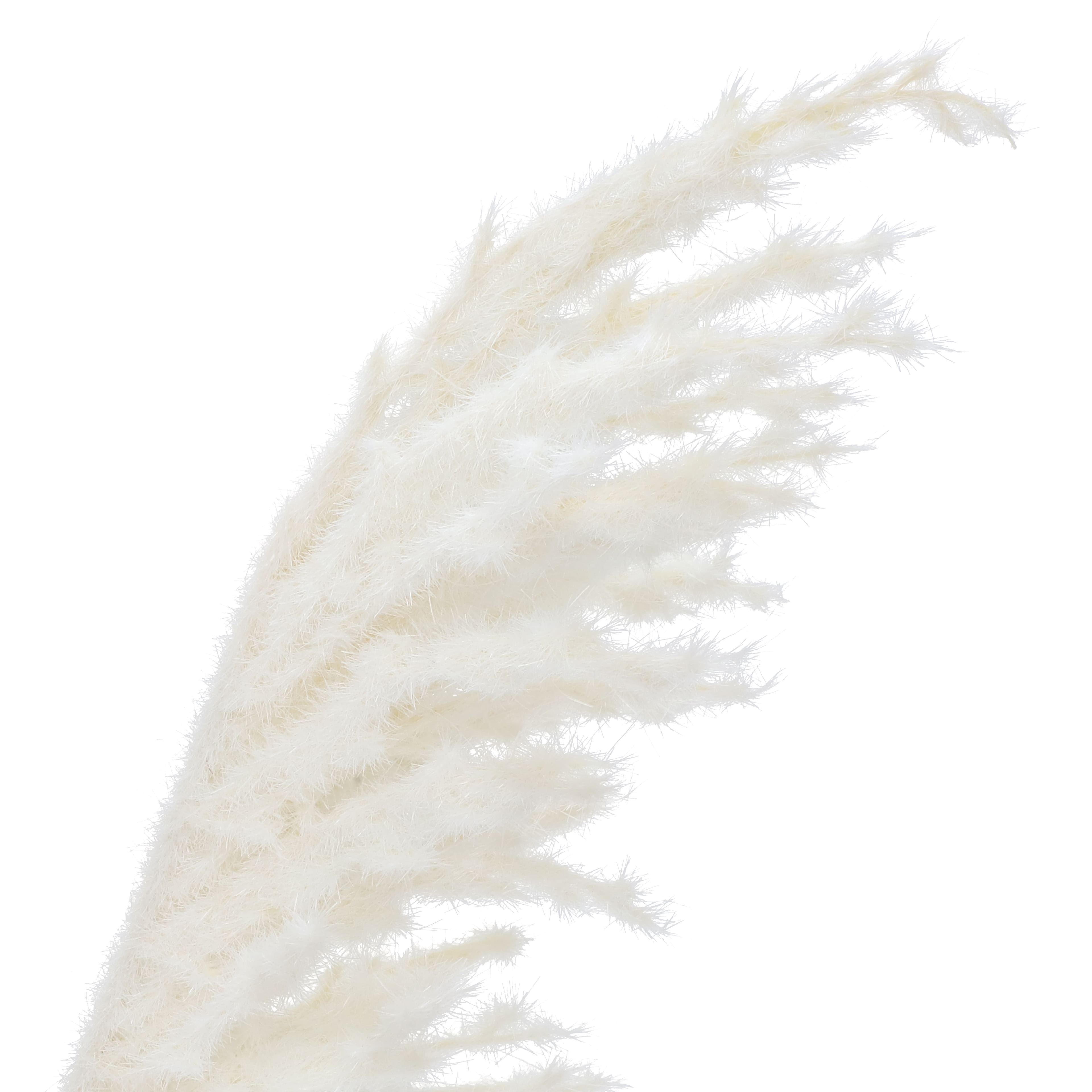 19" Cream Pampas Bush by Ashland®