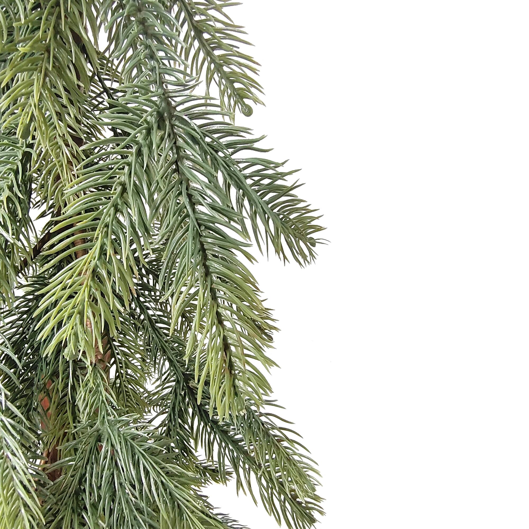 Northlight 5ft. Artificial Downswept Pine Christmas Tree