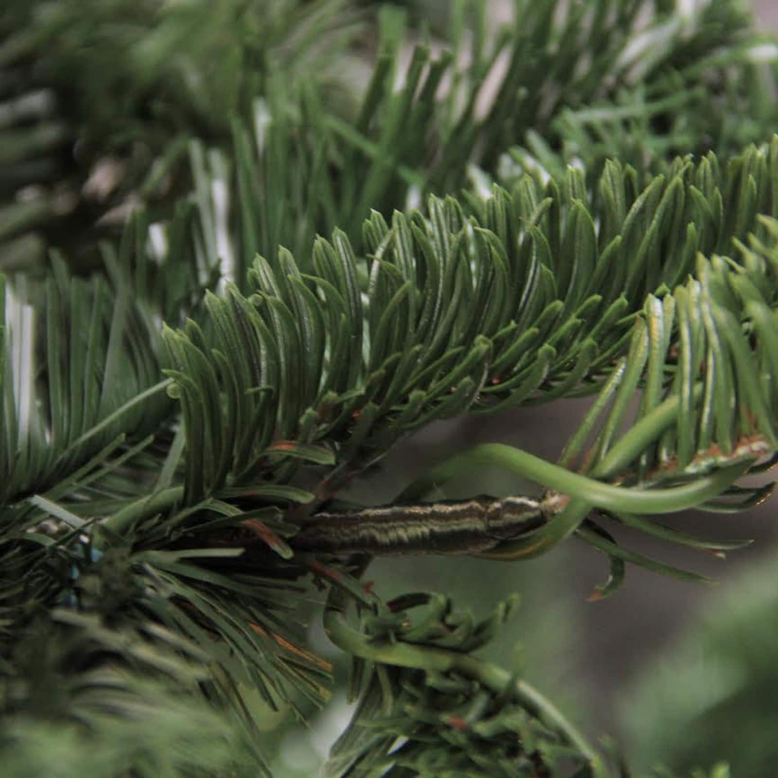 6.5ft. Unlit Real Touch™️ Layered Nordmann Fir Artificial Christmas Tree