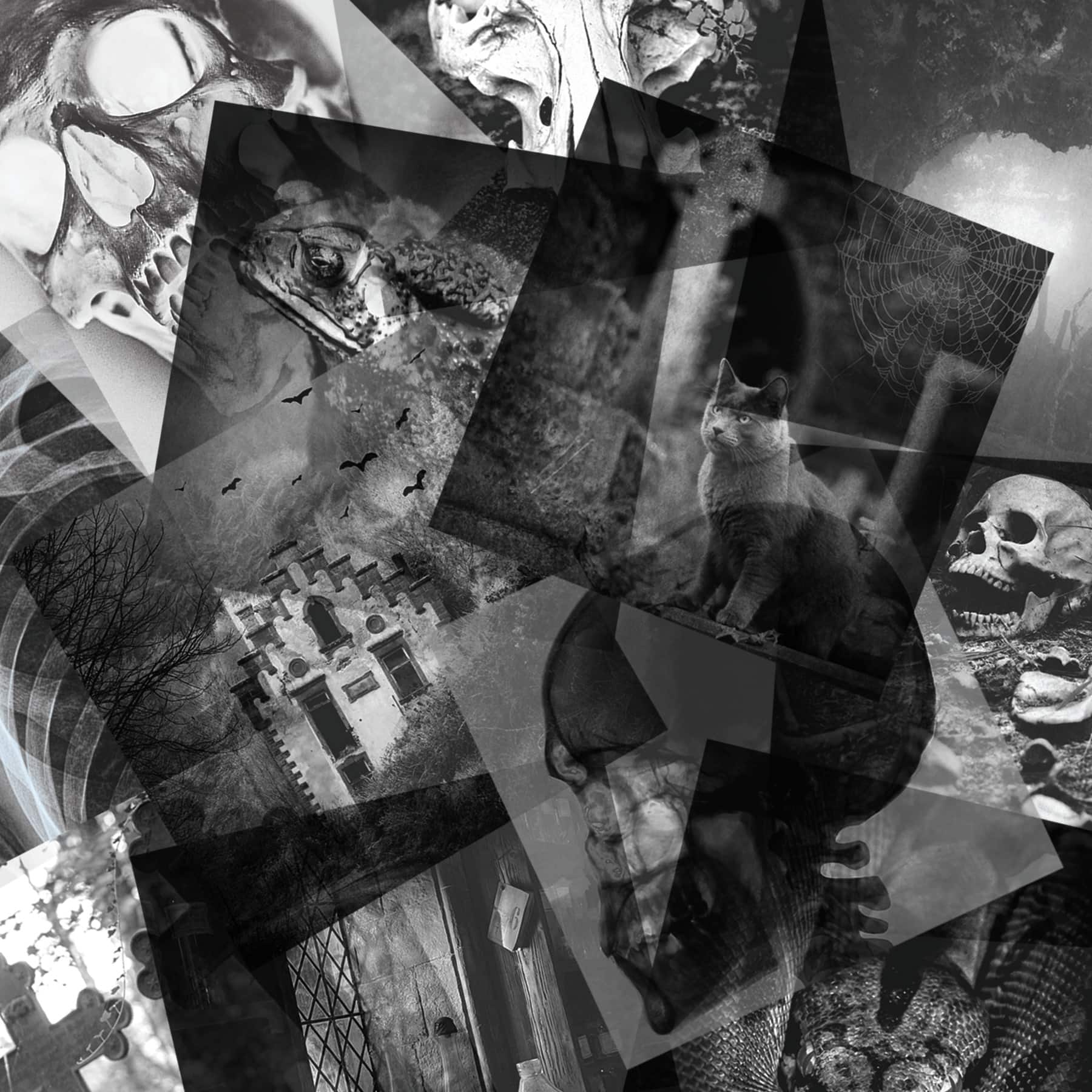 8" x 8" Haunted Halloween Acetate Pad by Recollections™, 24 Sheets