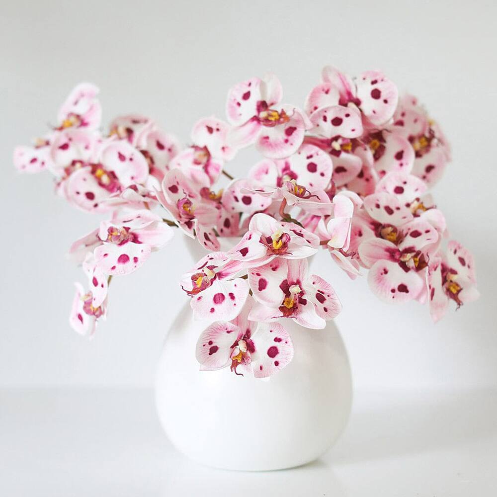 Prestige Botanicals 22" Artificial White & Pink Spotted Phalaenopsis Orchid Stem