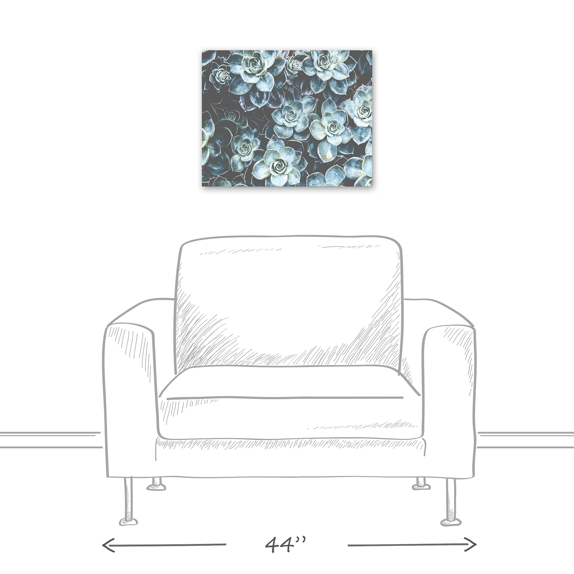 Grouping Of Succulents 20" x 16" Canvas Wall Art