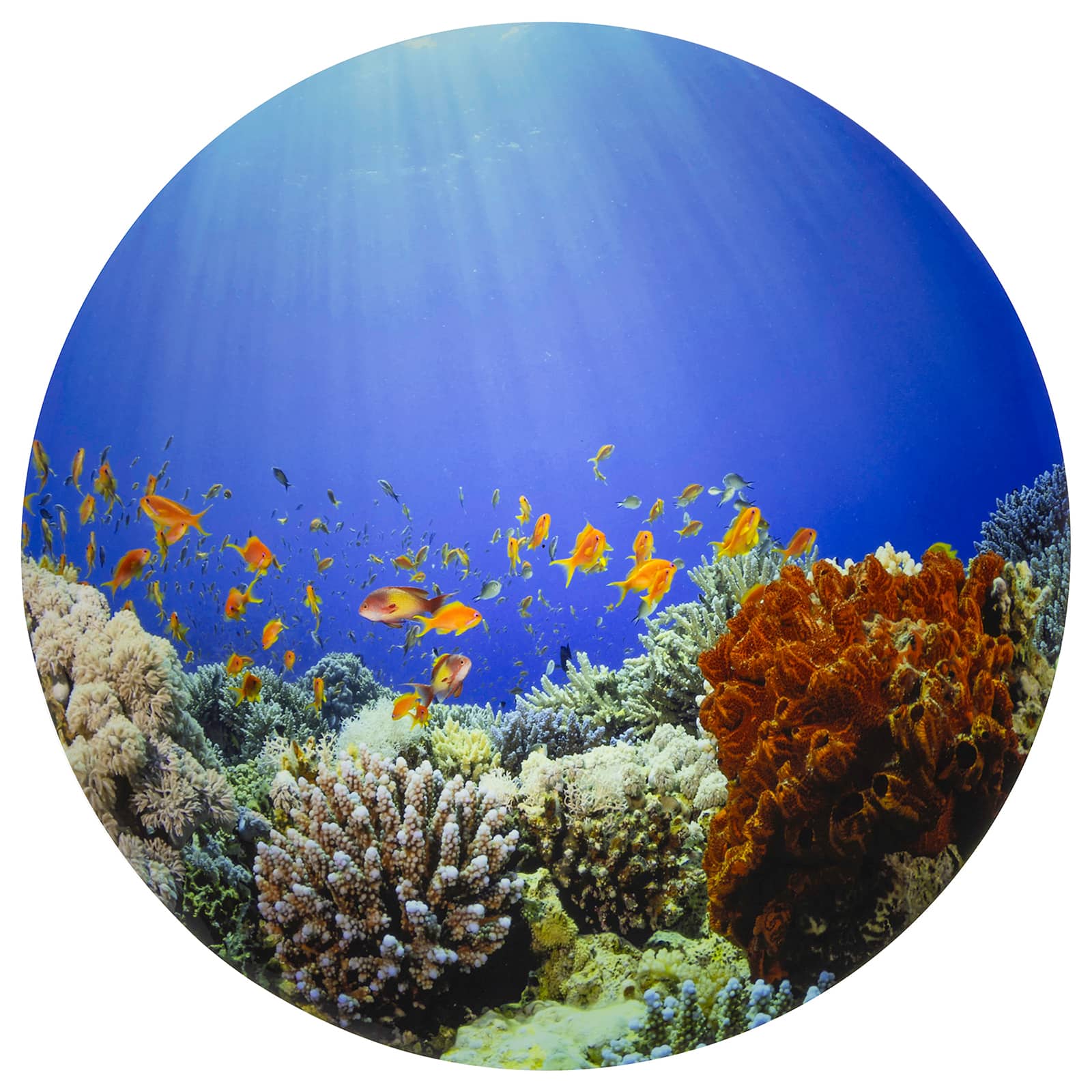 TickiT® 24.5" Under the Sea Discovery Play Mat