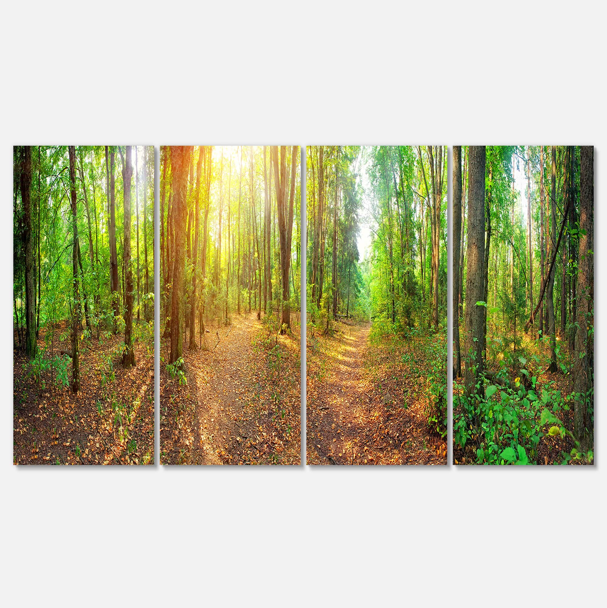 Designart - Dense Forest Panorama