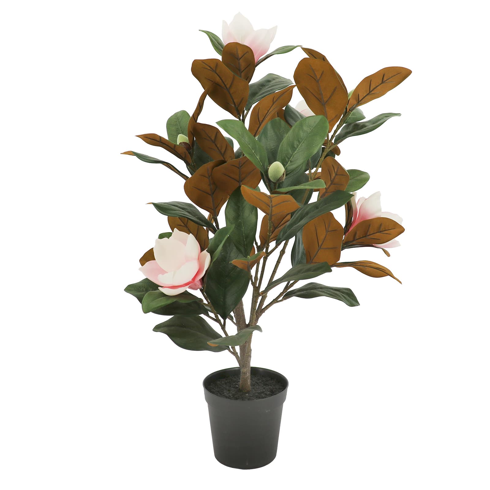 2.5ft. Potted Pink Magnolia Tree by Ashland®